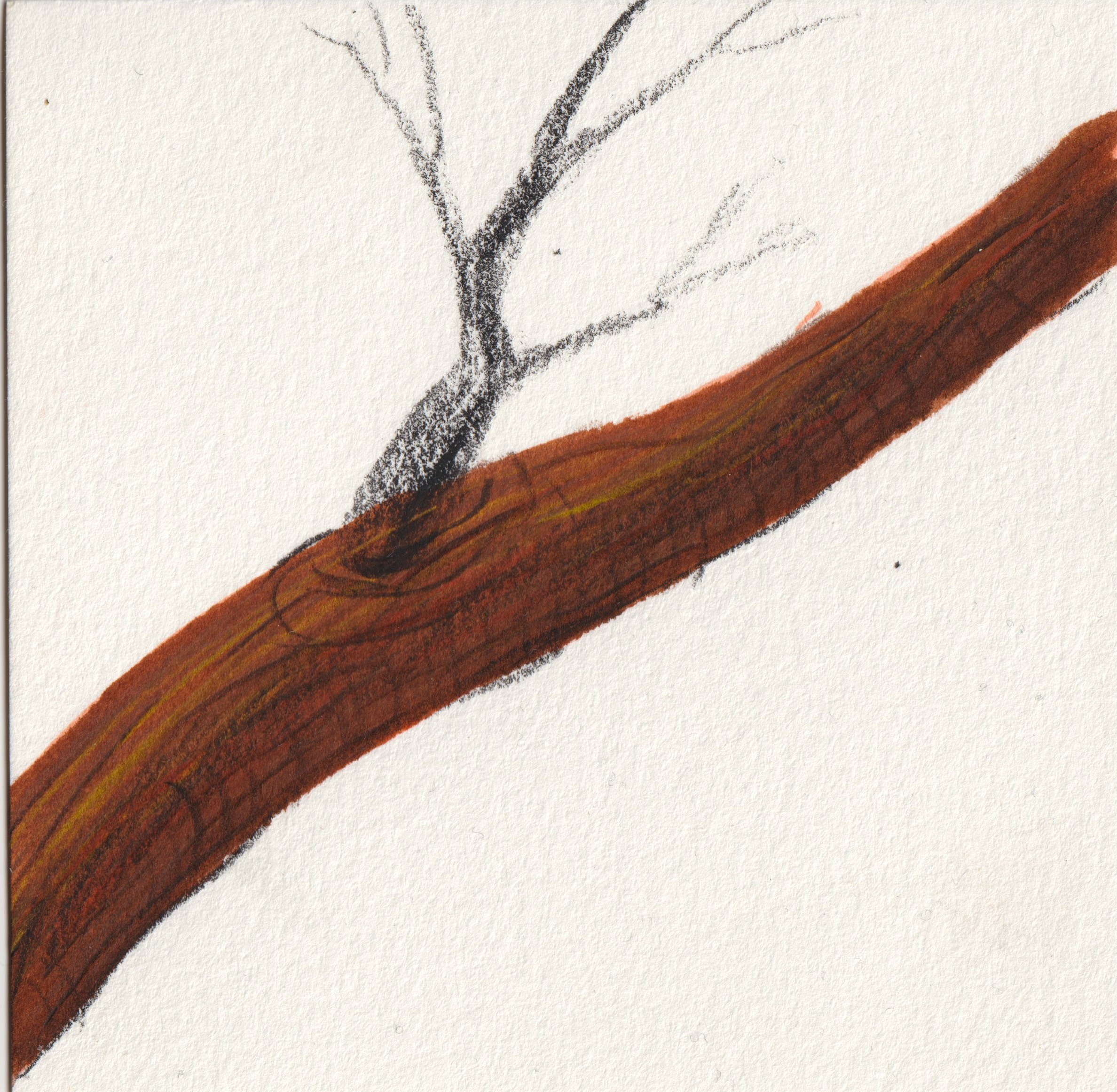 Скетчи. Ожерельев Лев