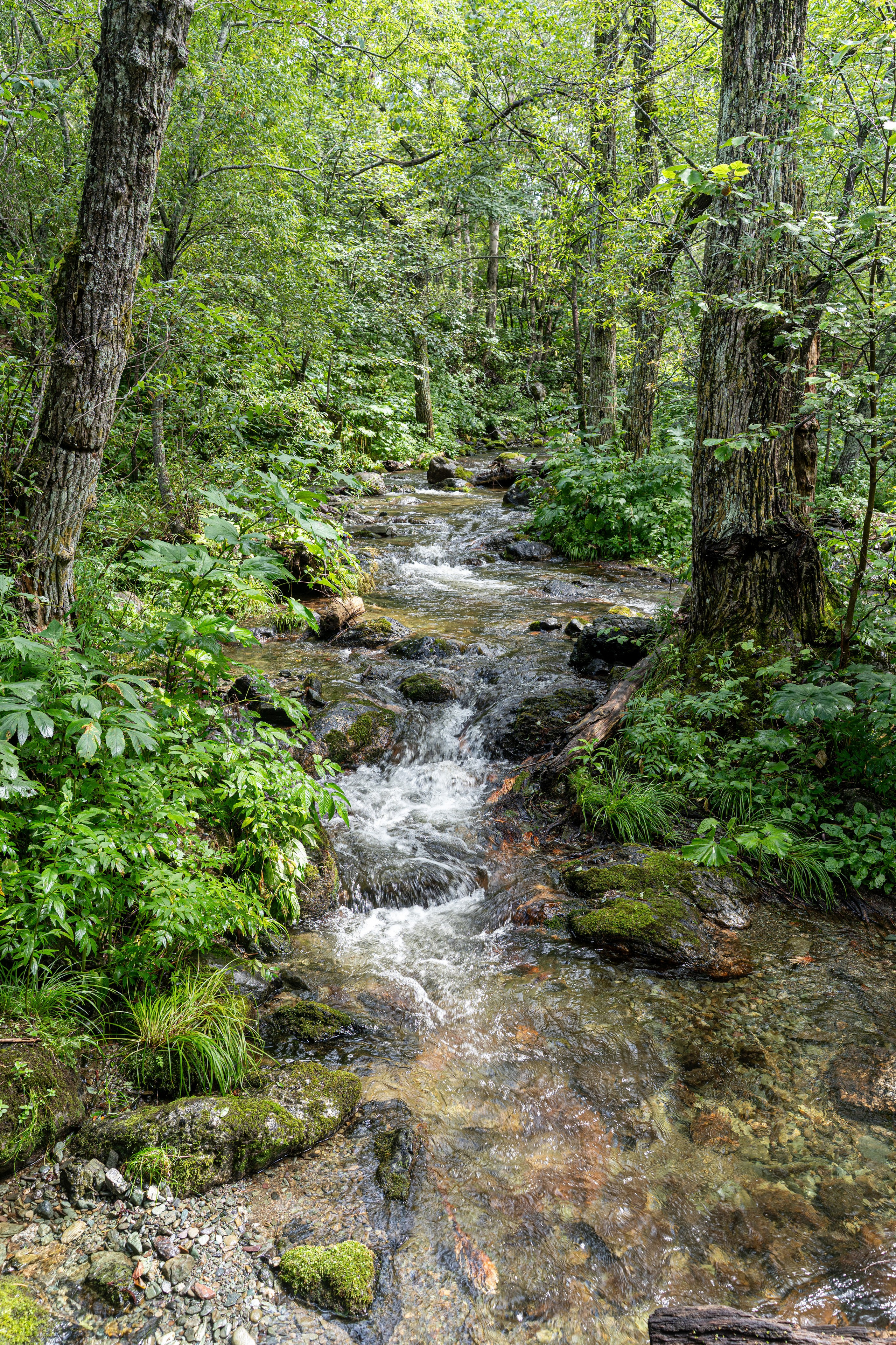 Сахалин 2025. Творческие сьемки