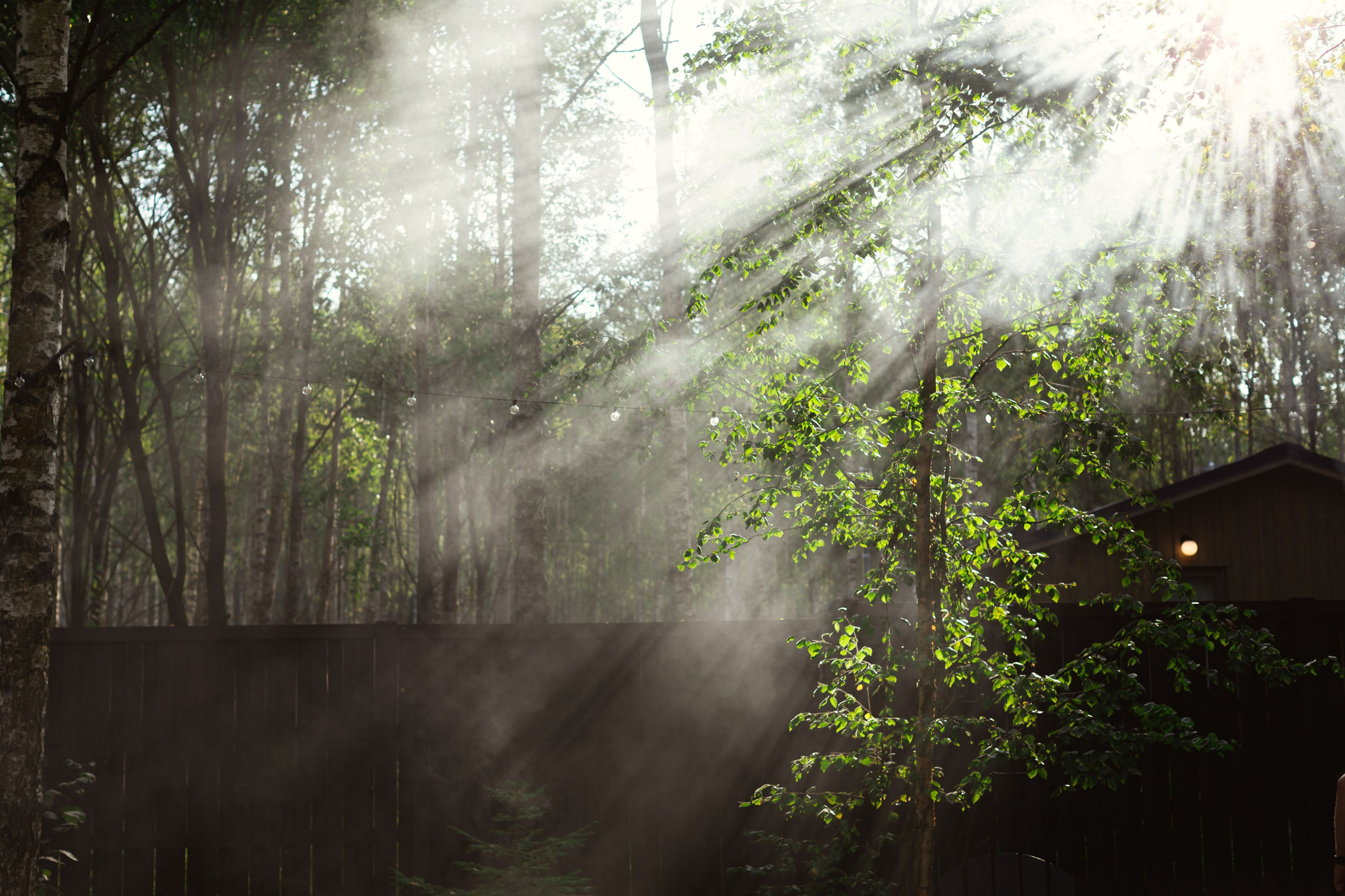Съёмка детских праздников и счастливых событий. In.Love.With.You.Photo — фотограф Анастасия Сошенкова