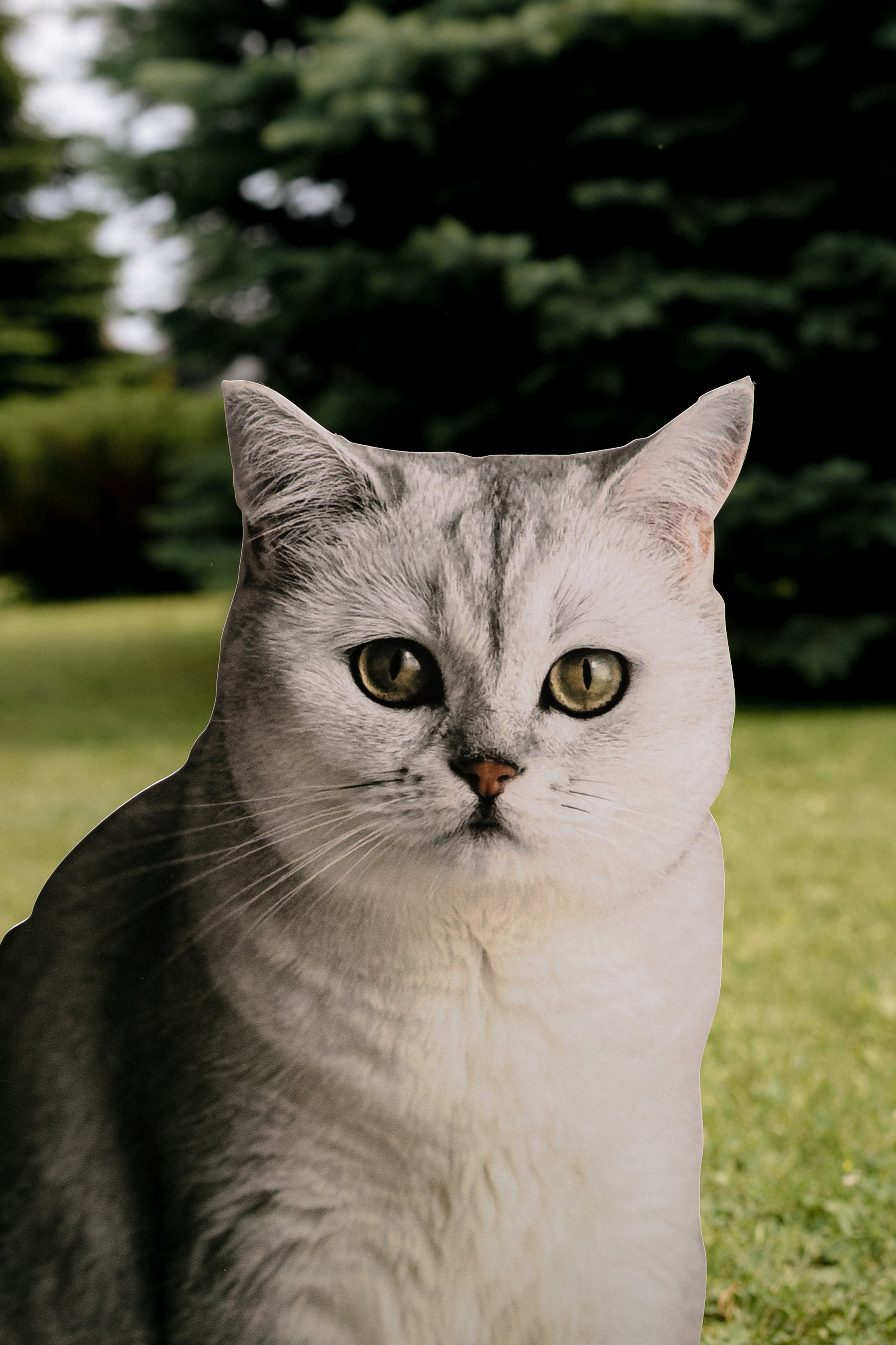 Катя+Артем. Анонс. Семейный и портретный фотограф в Саратове Сахарова Маша