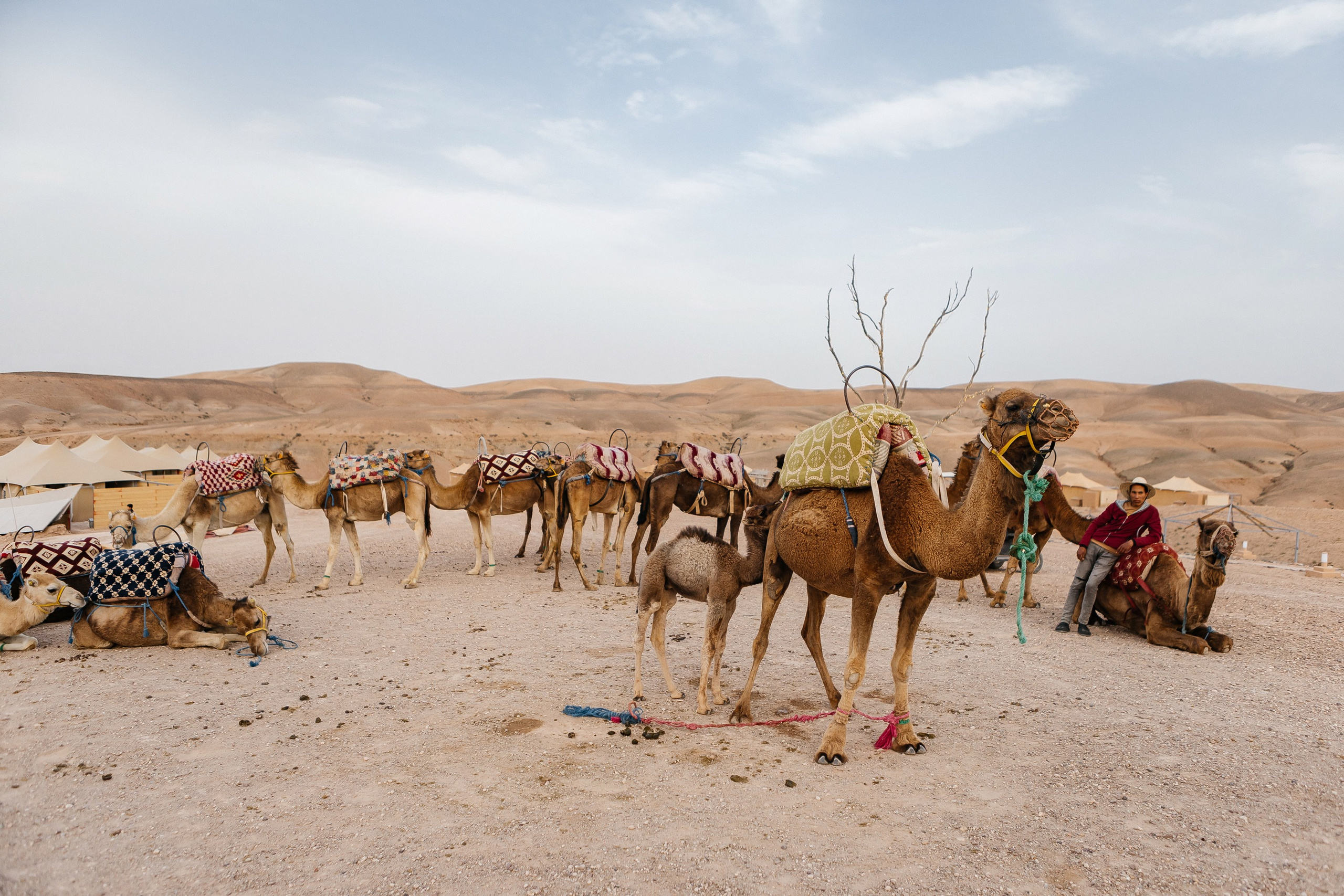 Марокко Альфа Банк. Фотограф в Москве Дмитрий Жарков