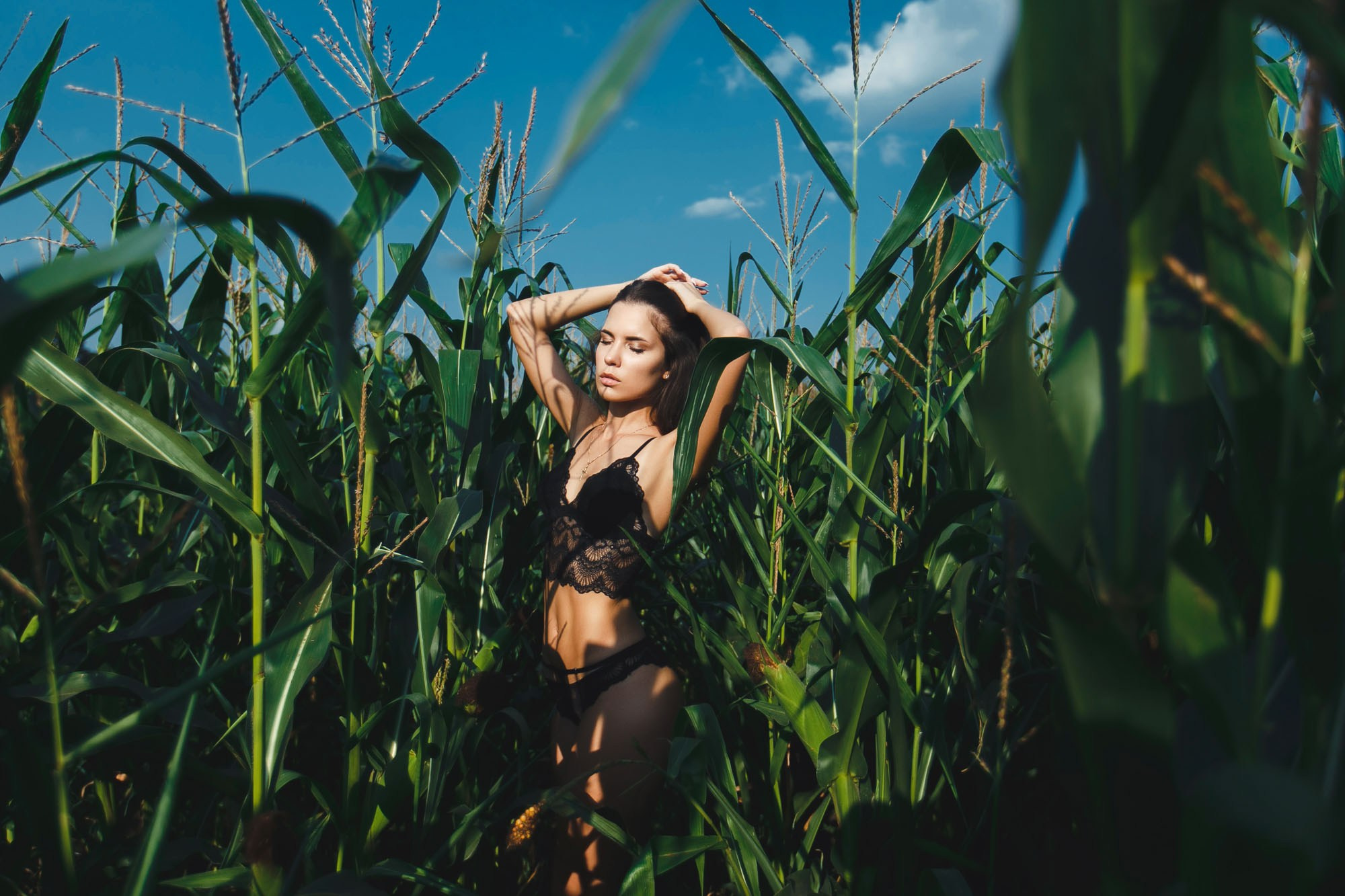 Фотосессия в кукурузе. Красивая девушка. Фотограф Липецк Воронеж Тамбов. Красивая фотосессия. Портретная фотография. Портретный фотограф