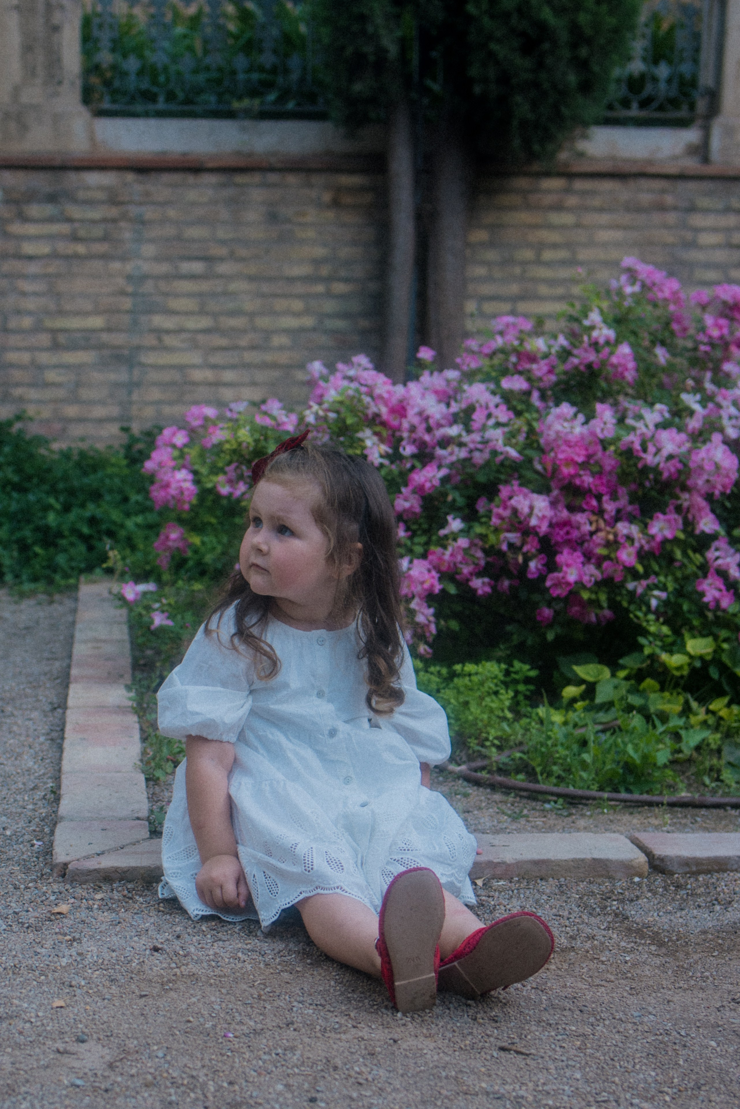 Sesiones de fotos familiares. Natalia Petrova, fotógrafa en Valencia