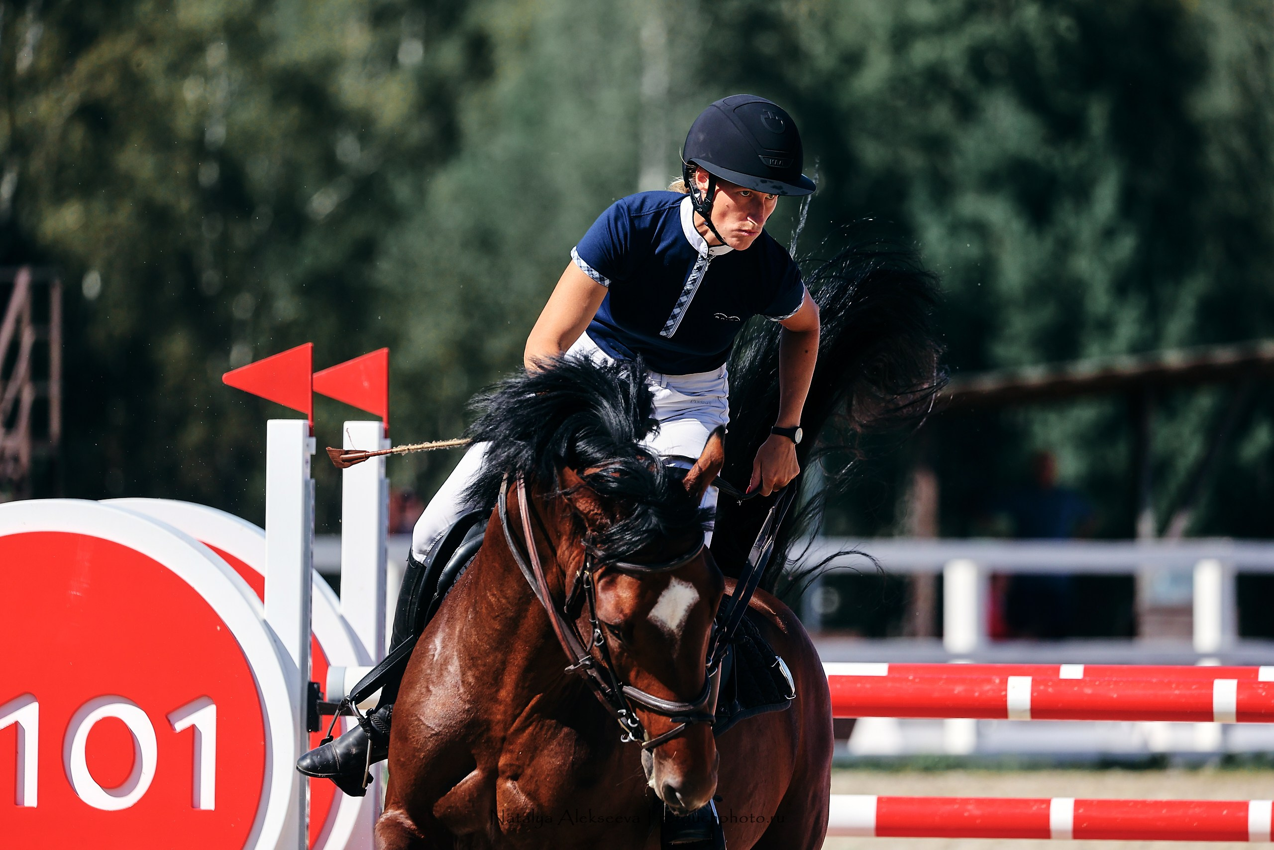 ЧР по конкуру среди молодых лошадей, КСК Horseka | 08'2023. Репортажный фотограф и ретушер в Москве Наталья Алексеева