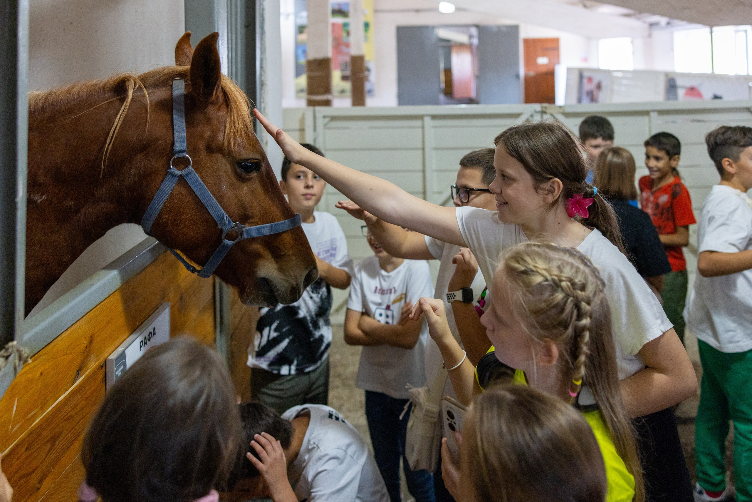 Поездка на поле Кулеково. Фотограф в Туле Крупский АнДРей. Фотостудия «КАДР71» в Туле