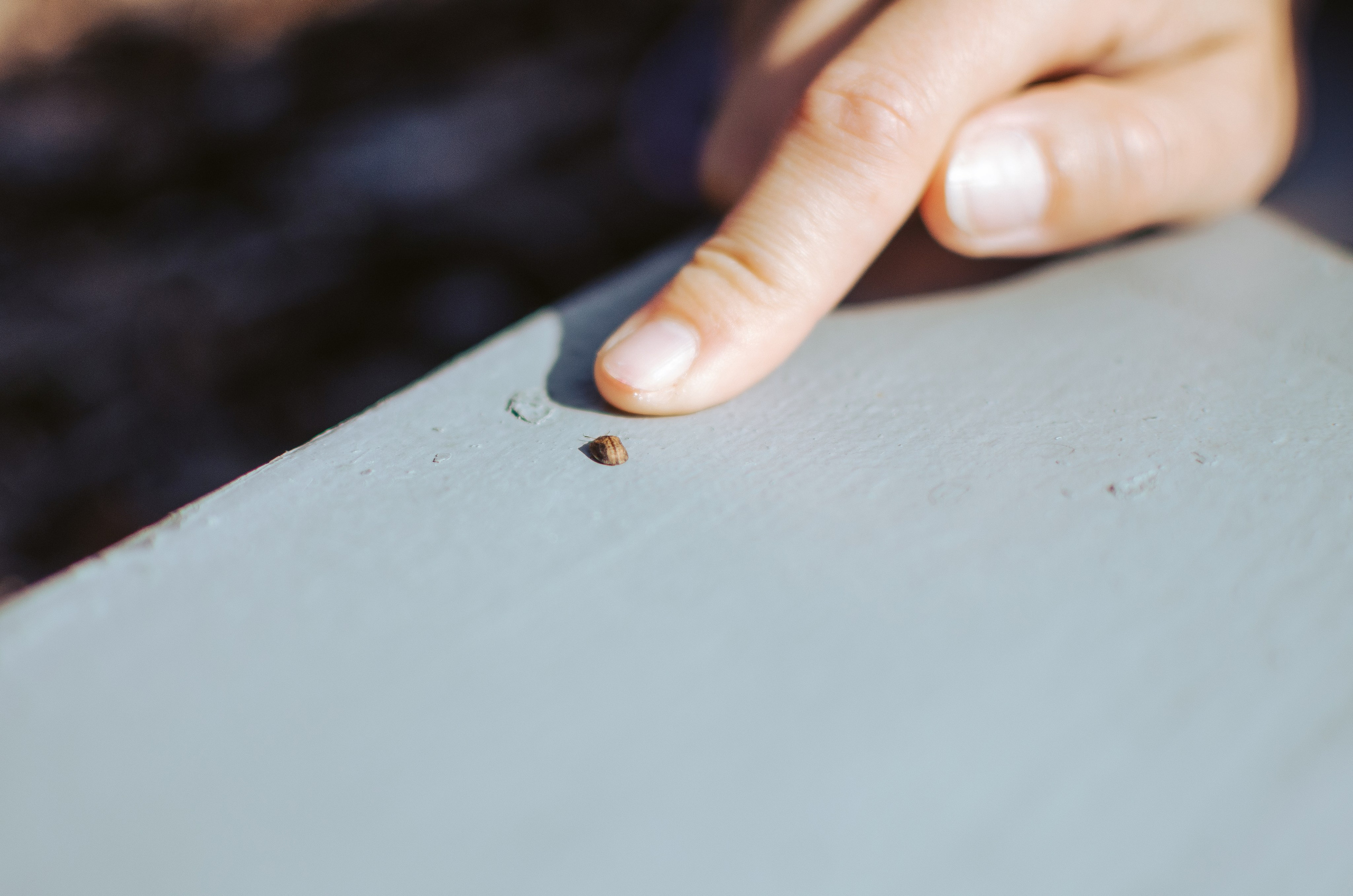 Анна Стельмах. КВЭЛ — Кто Все Эти Люди