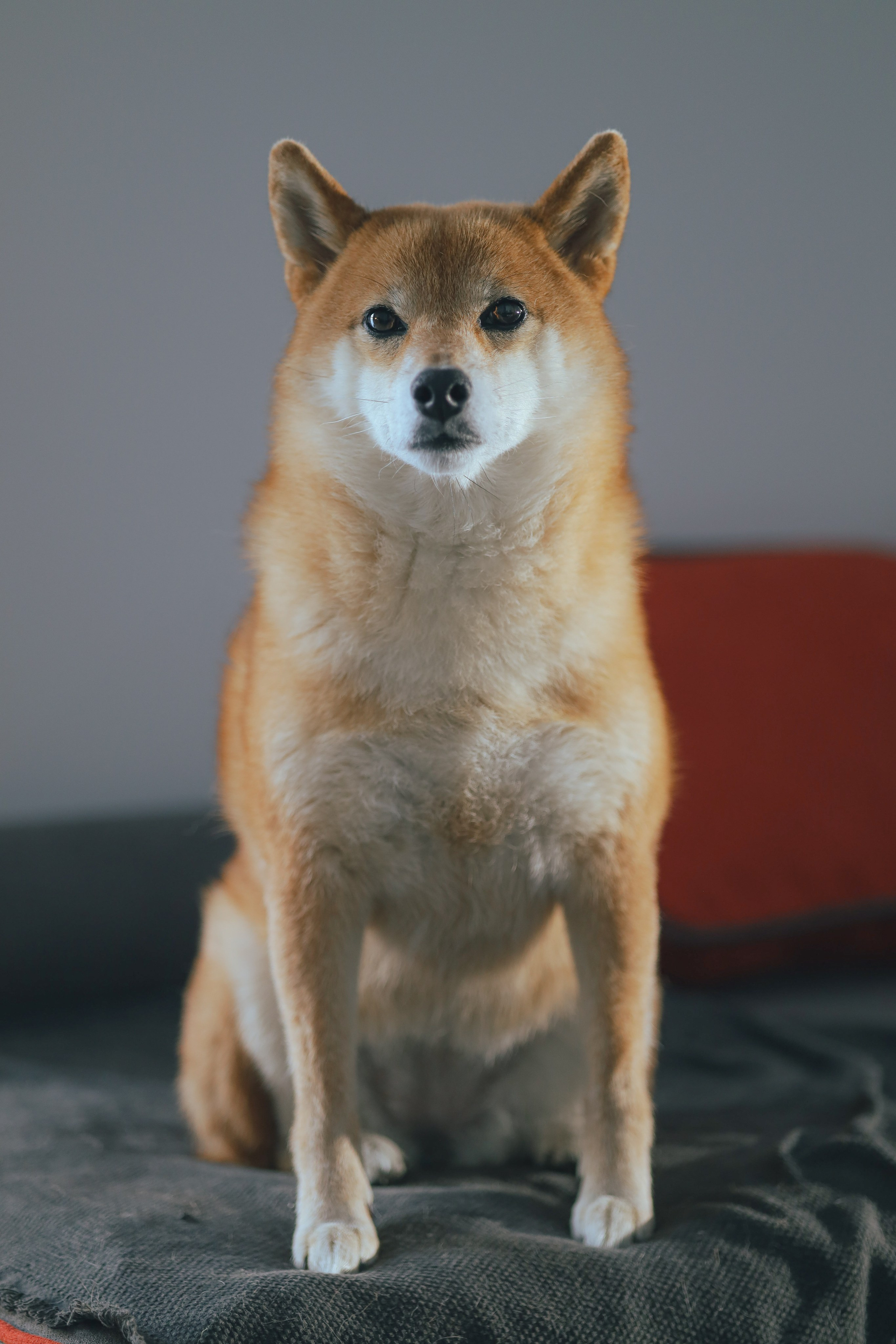 Portraits. Фотограф Макс Давыдов