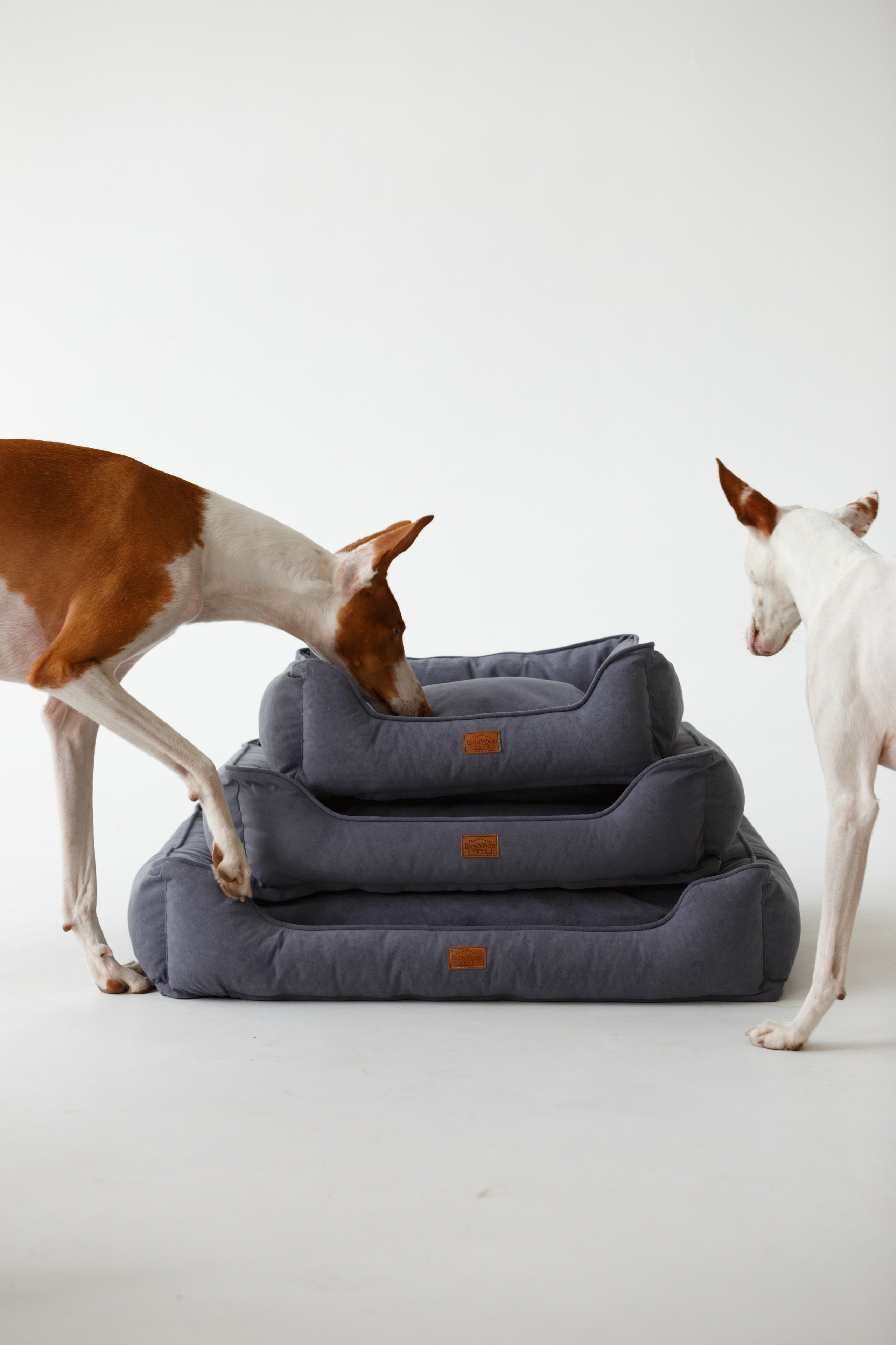 Boonwood Pets лежанки для животных. Фотограф анималист Кристина Карпова, Москва