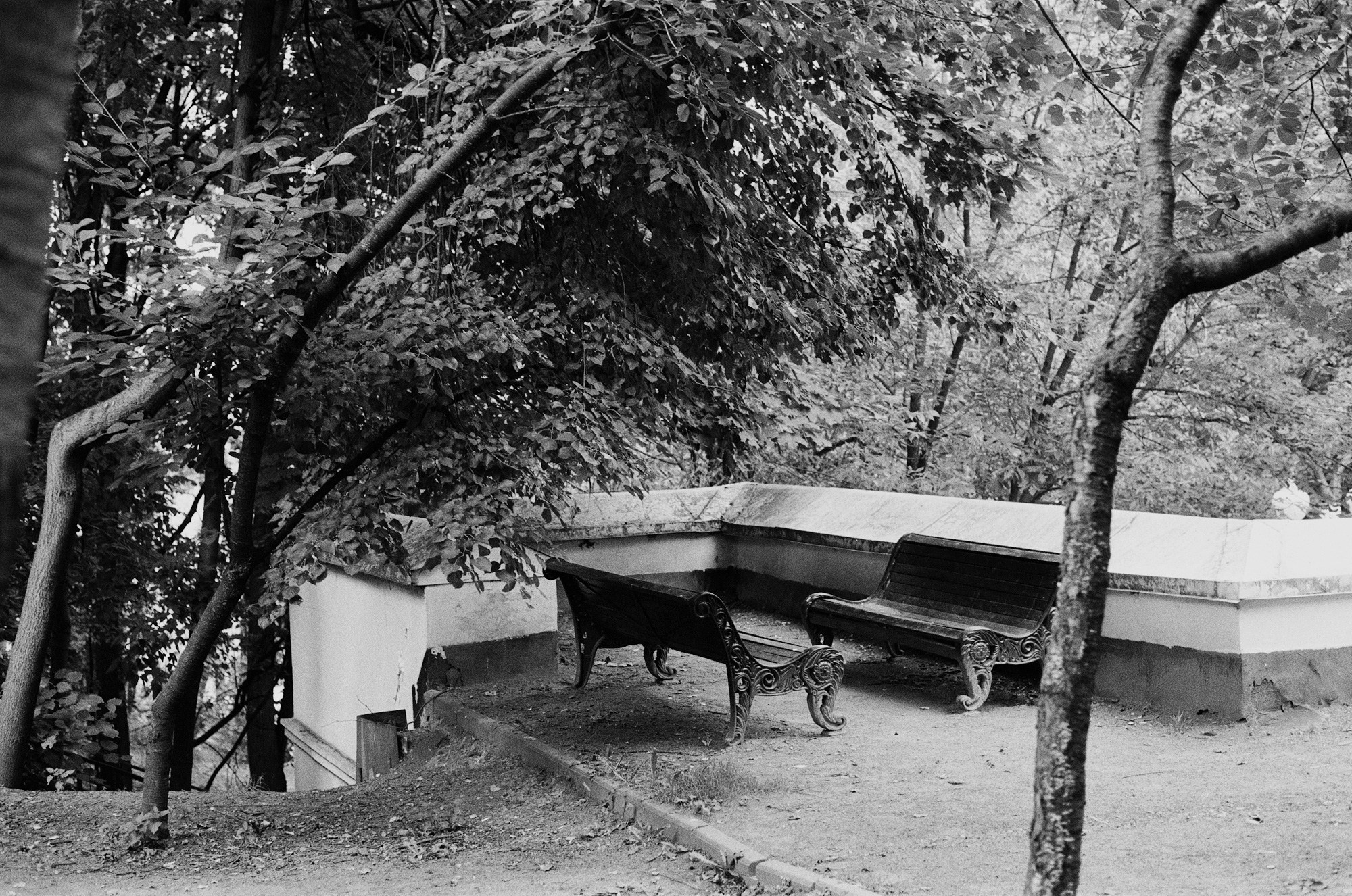 Нескучный сад и Остоженка. Другой Павел Поцелуев. Фотограф в 2025 году