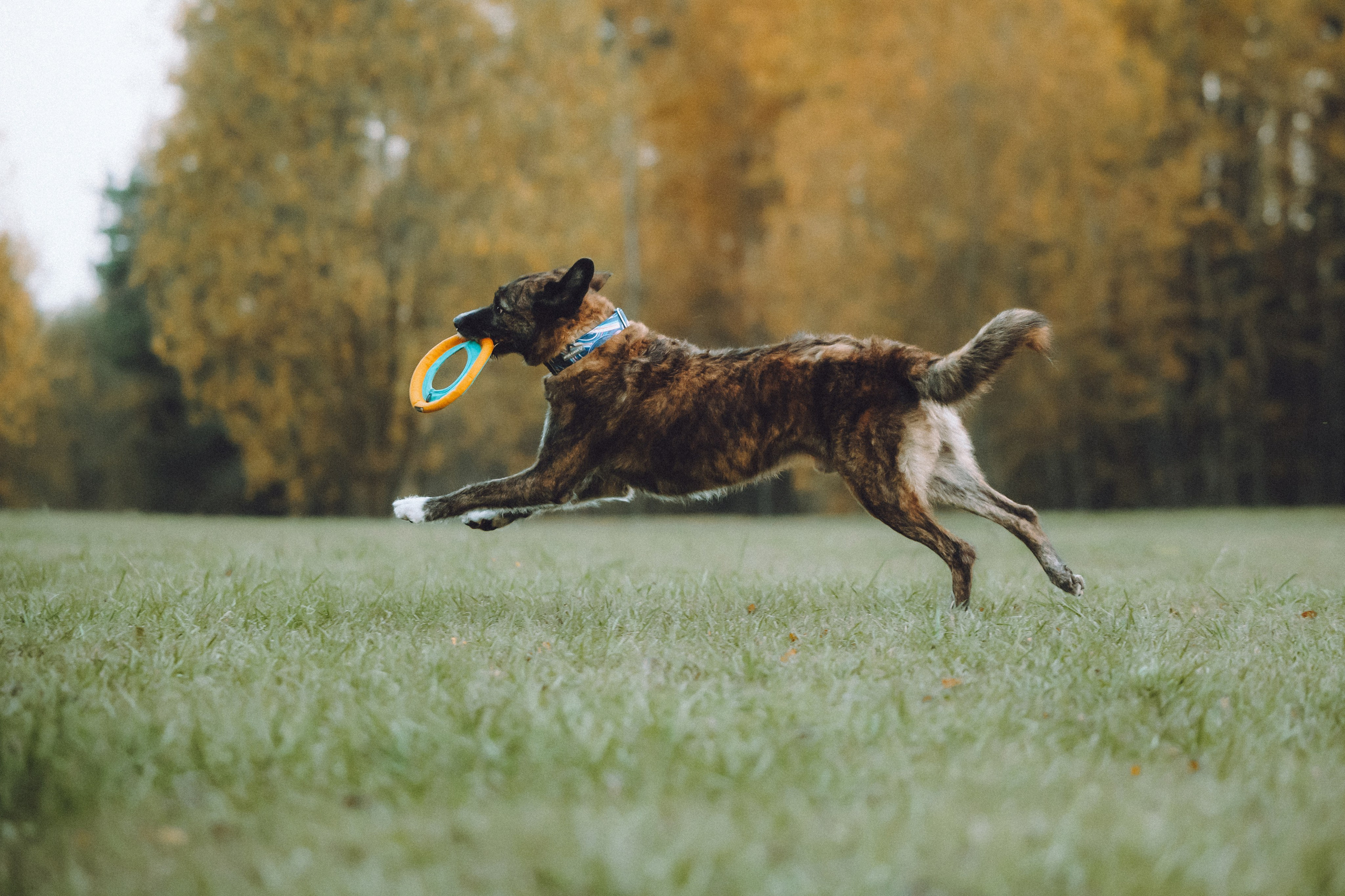 Рик, Джек и их семья