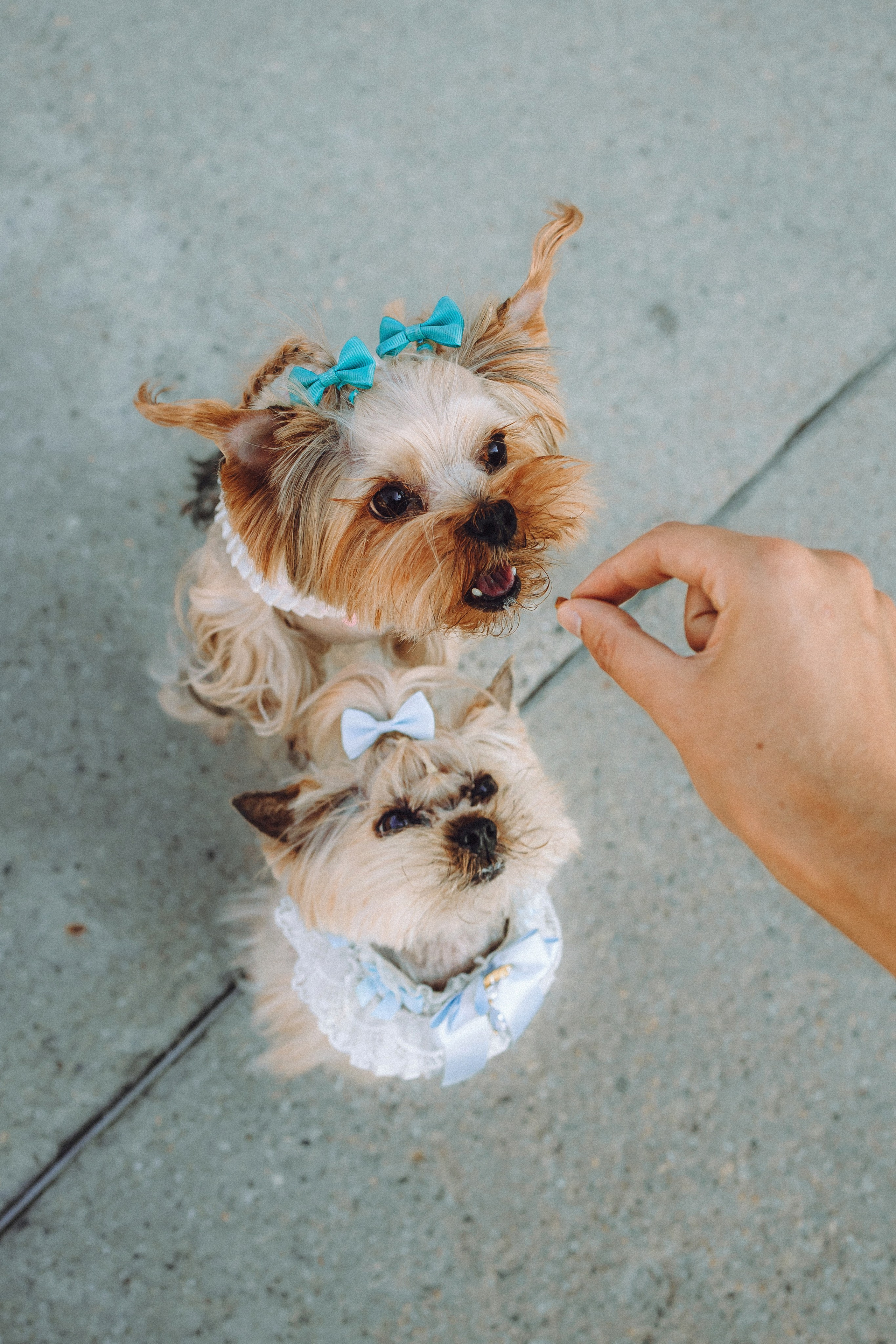 Дженни, Оливия и их семья