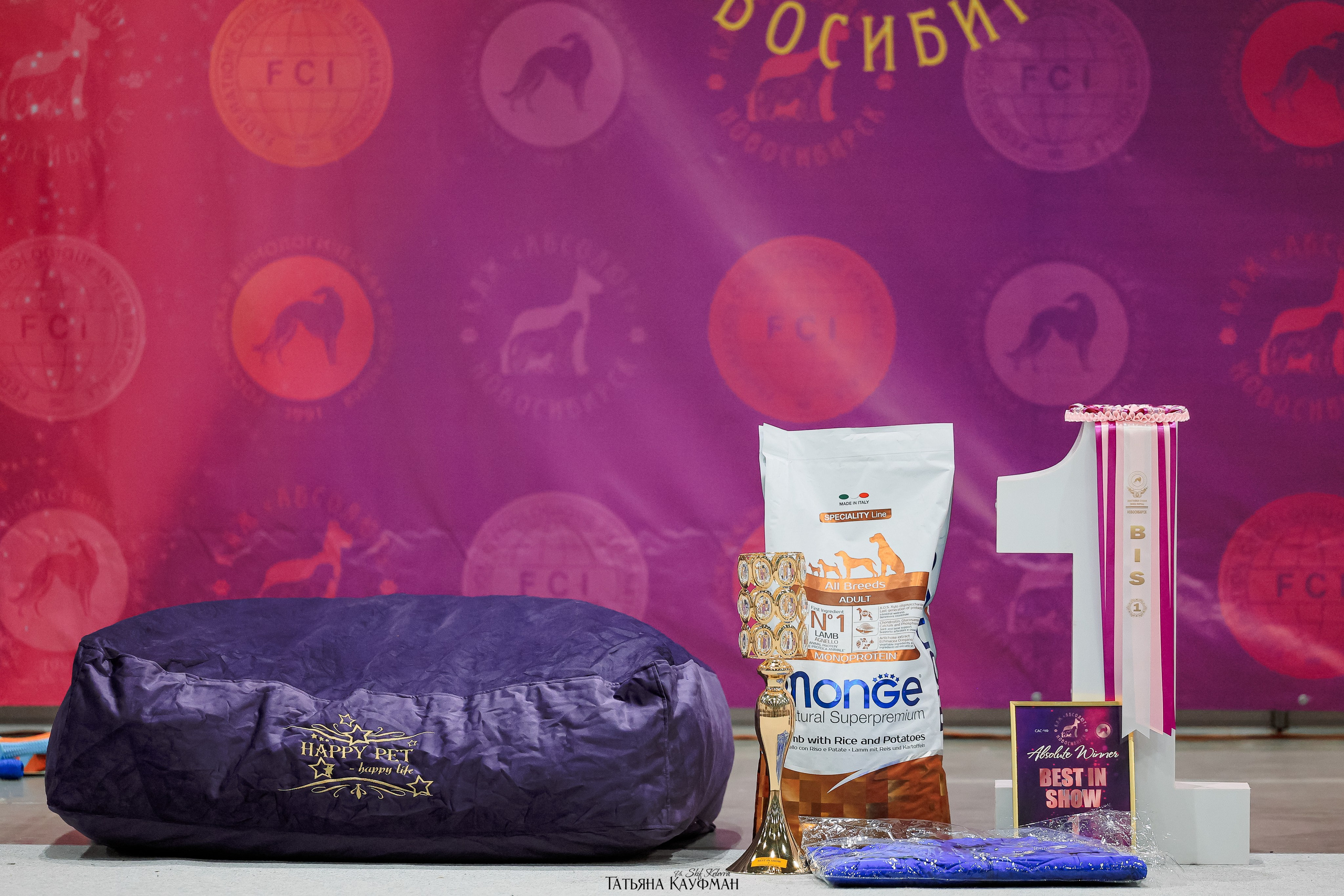 28-29.03.2026 Рейтинговая выставка в Новосибирске. Фотограф Анималист из Новосибирска Татьяна Кауфман