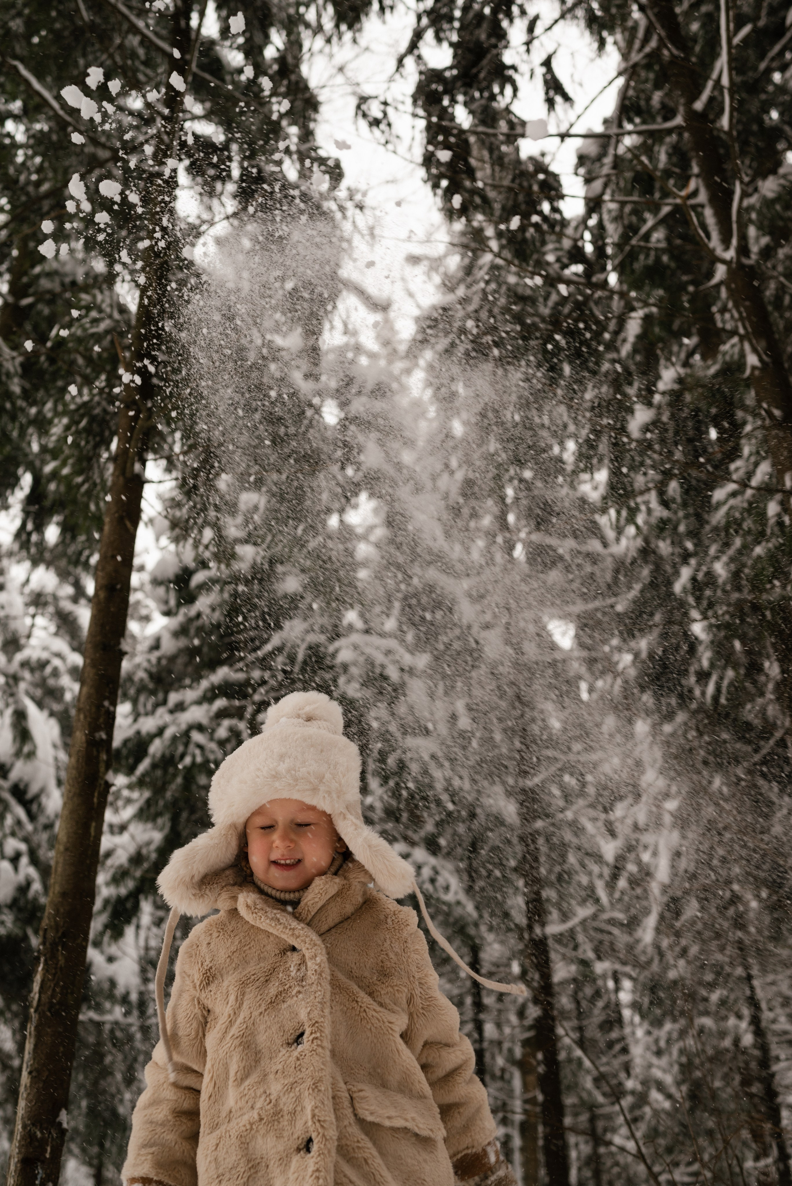 Зимний лес. Фотограф в Москве и МО Бреусова Татьяна