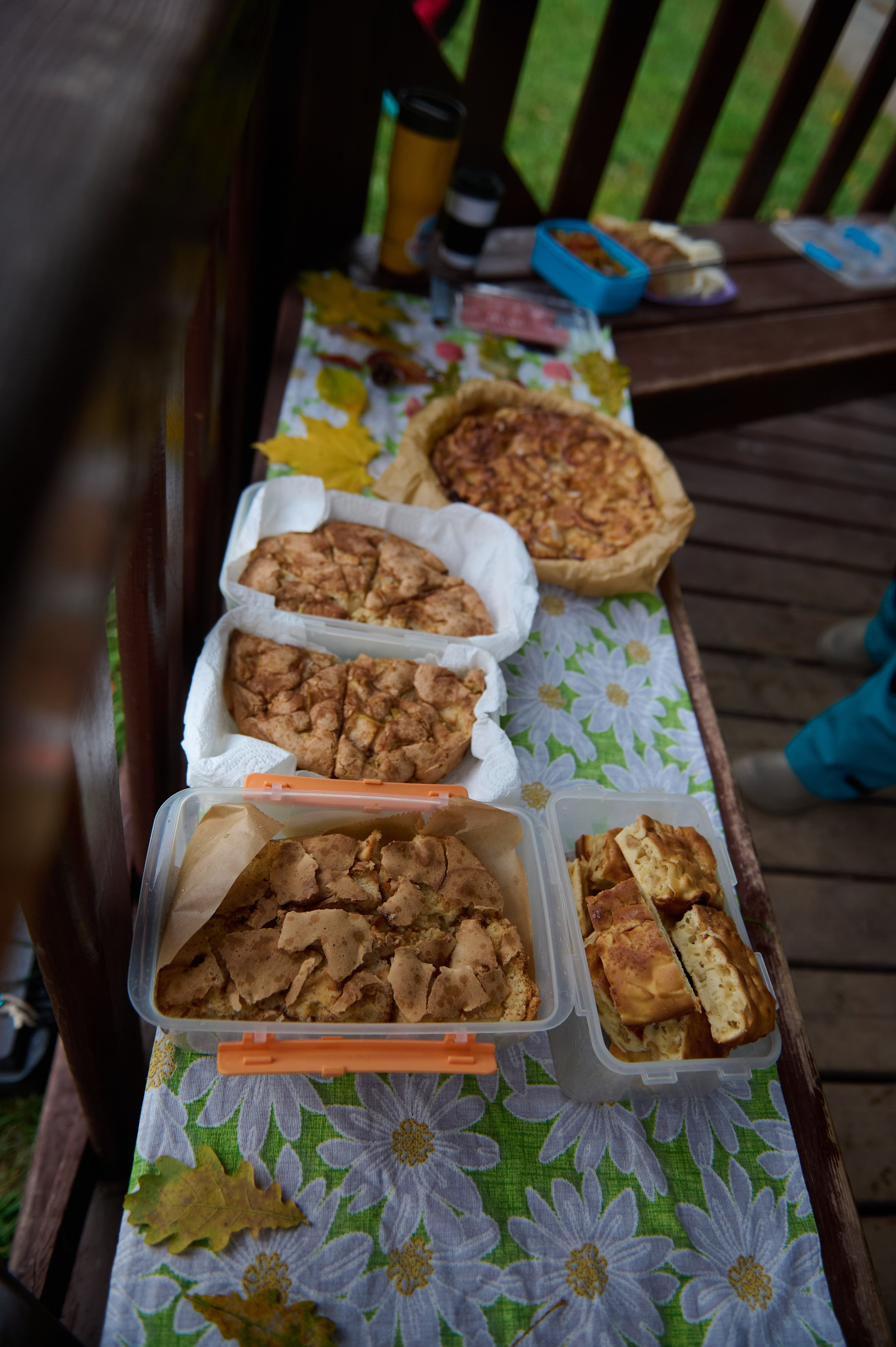 Осень_Серебряный бор. Главная