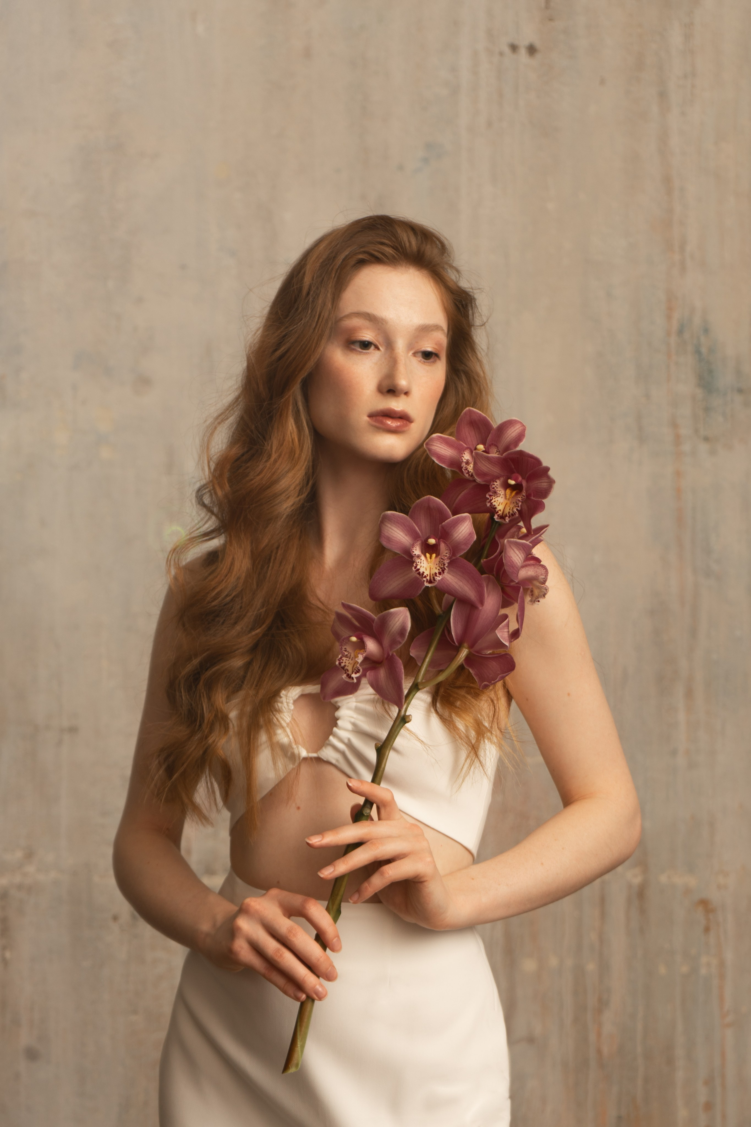 Орхидея. Фотограф — Валерия Валерьевна — Иркутск