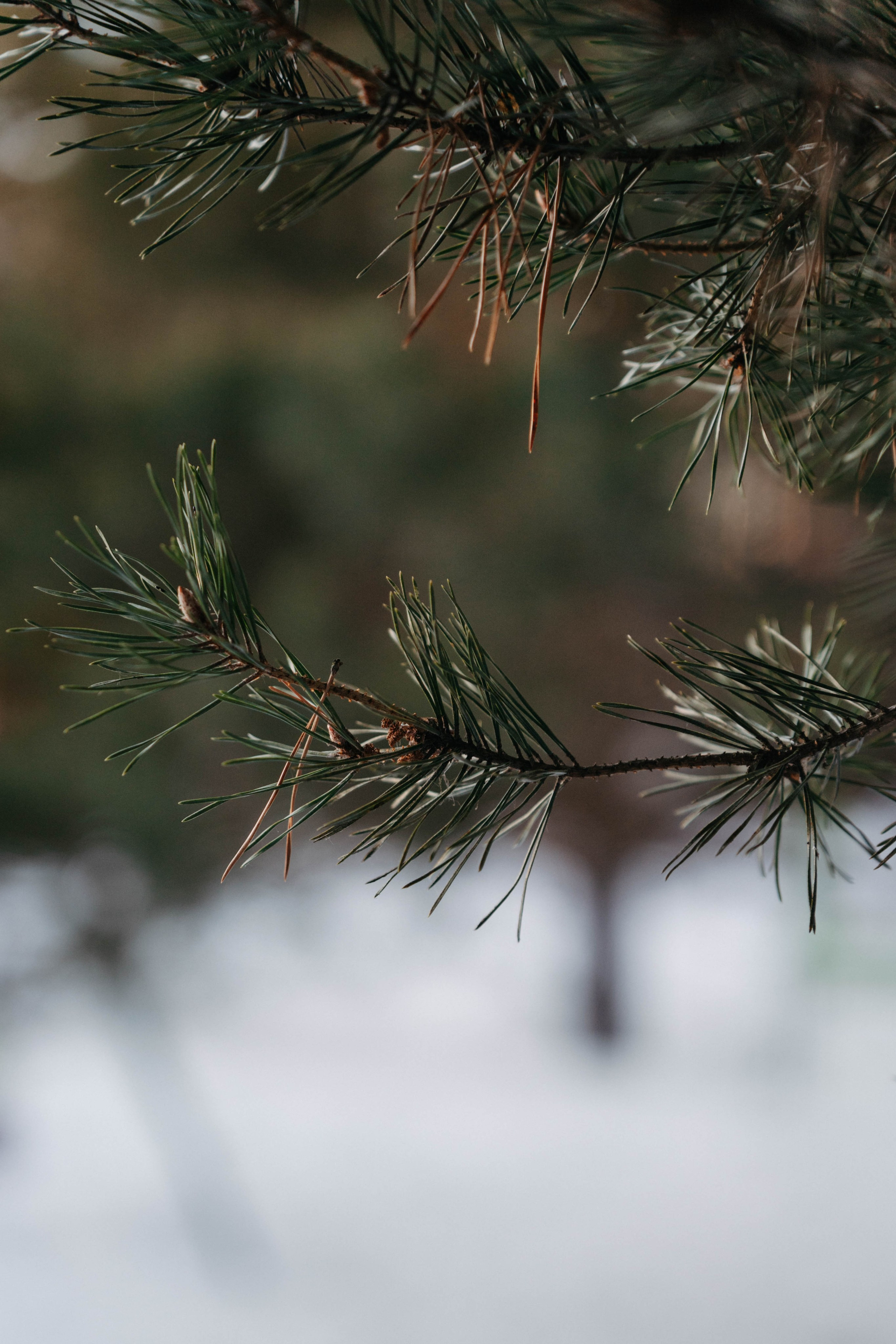 Междуречье|Экоотель. Фотограф Абакумова Анастасия