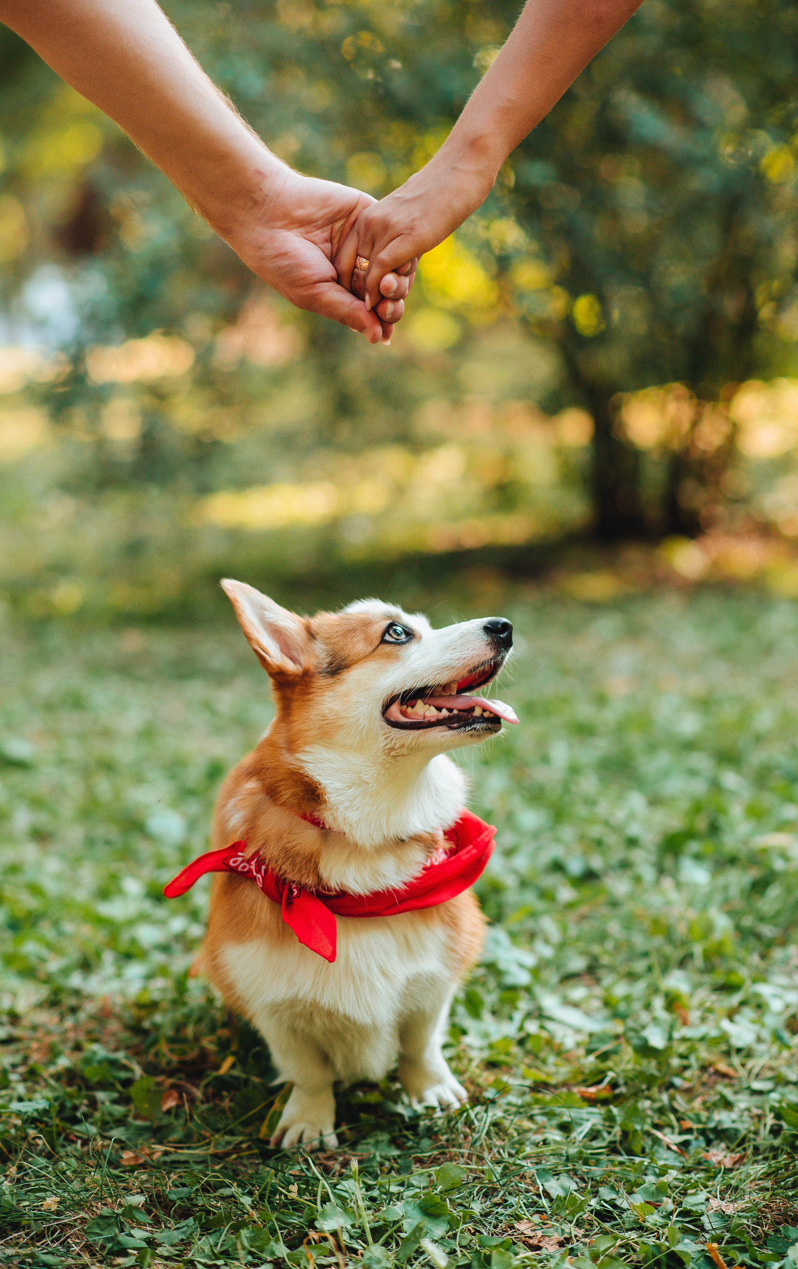 Love story. Свадебный и семейный фотограф в Краснодаре Алина Мельник