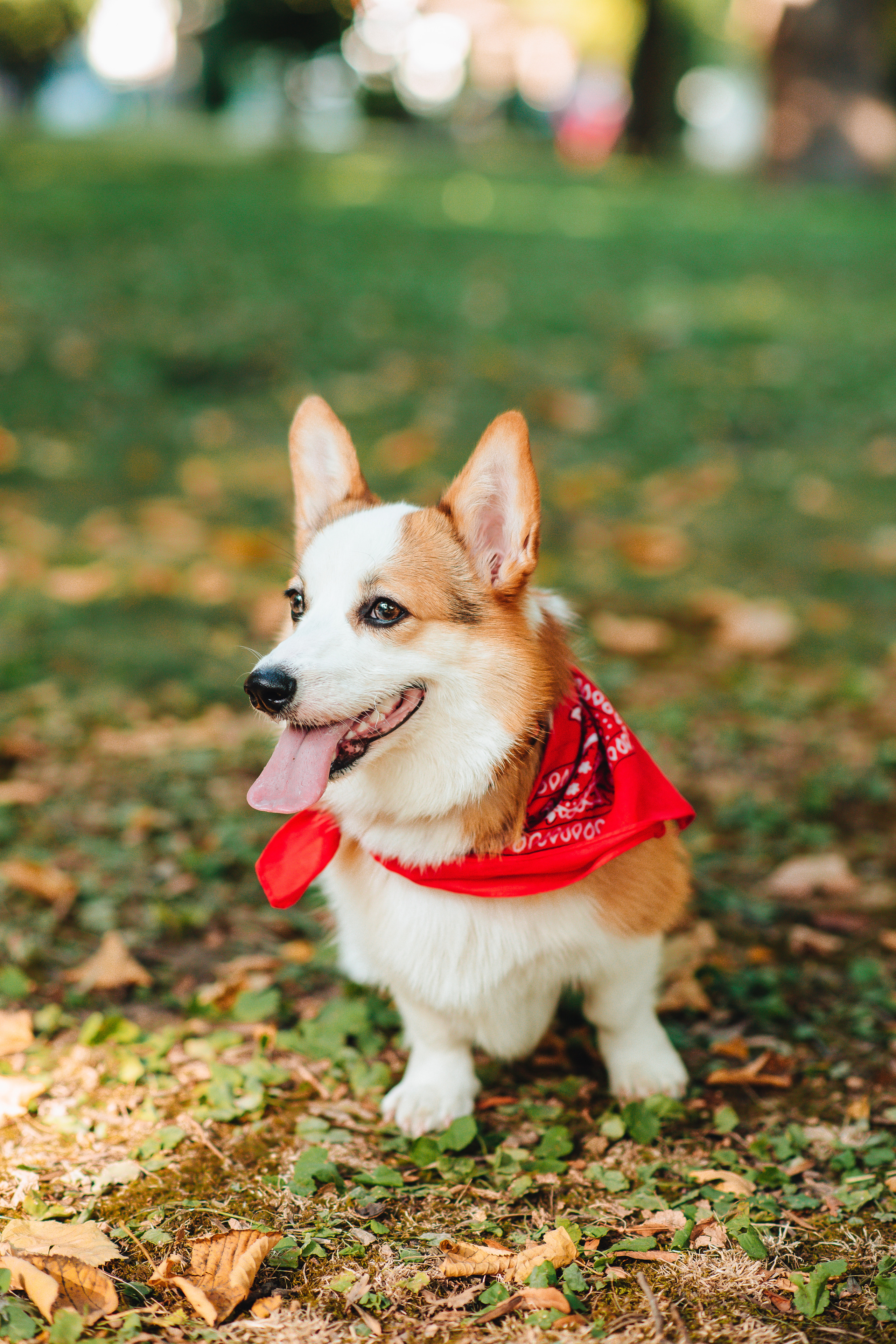 Love story. Свадебный и семейный фотограф в Краснодаре Алина Мельник