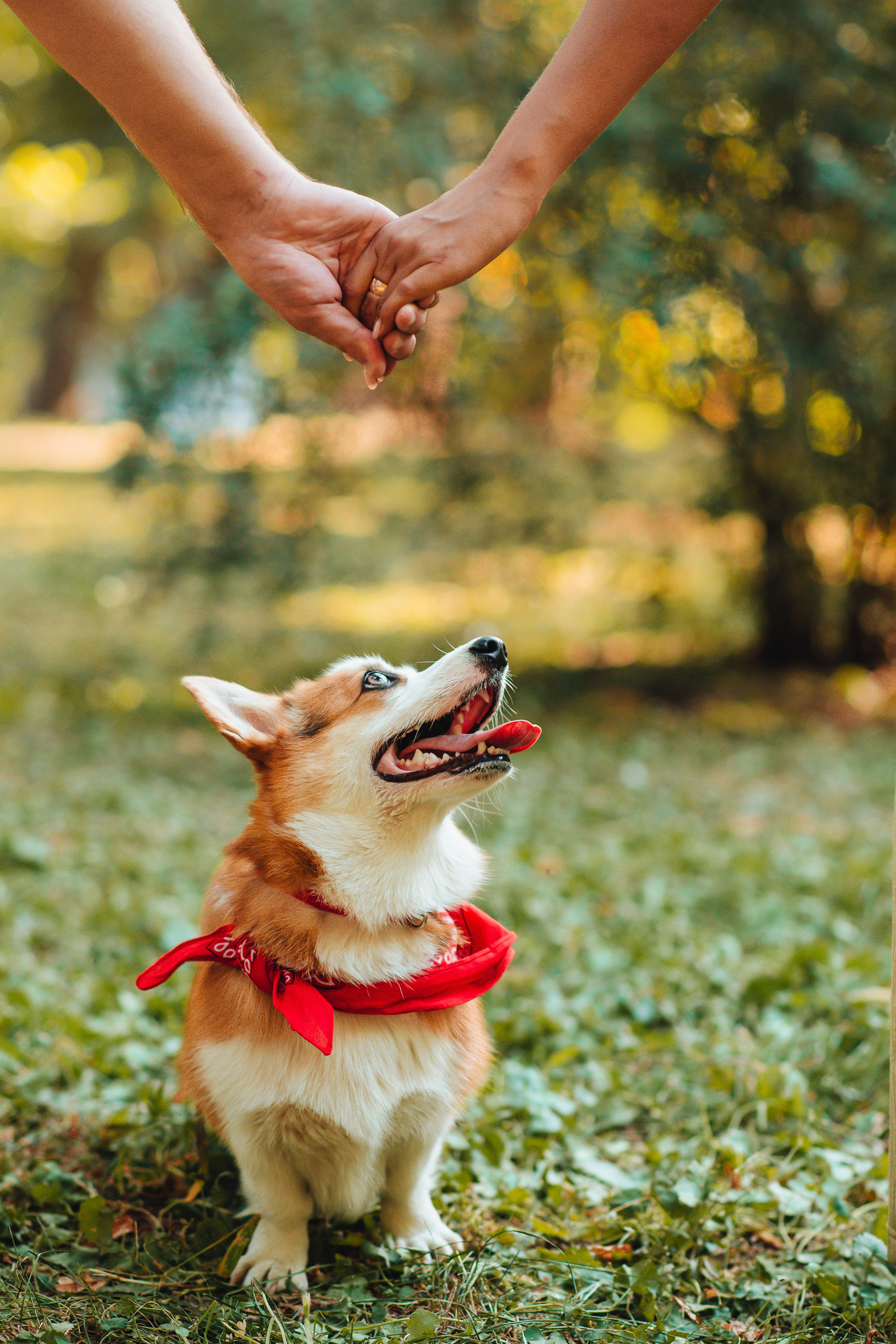 Love story. Свадебный и семейный фотограф в Краснодаре Алина Мельник