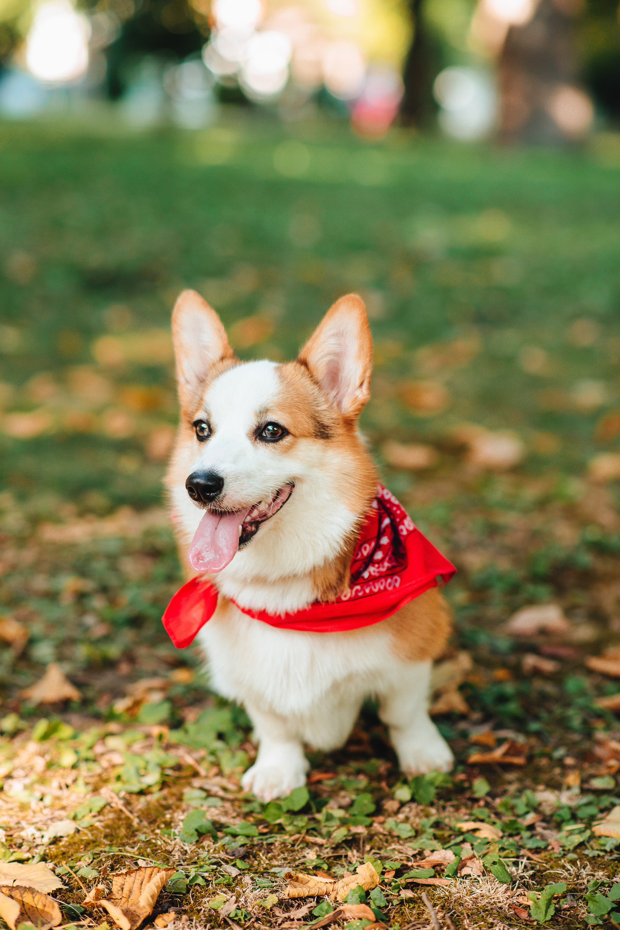 Love story. Свадебный и семейный фотограф в Краснодаре Алина Мельник