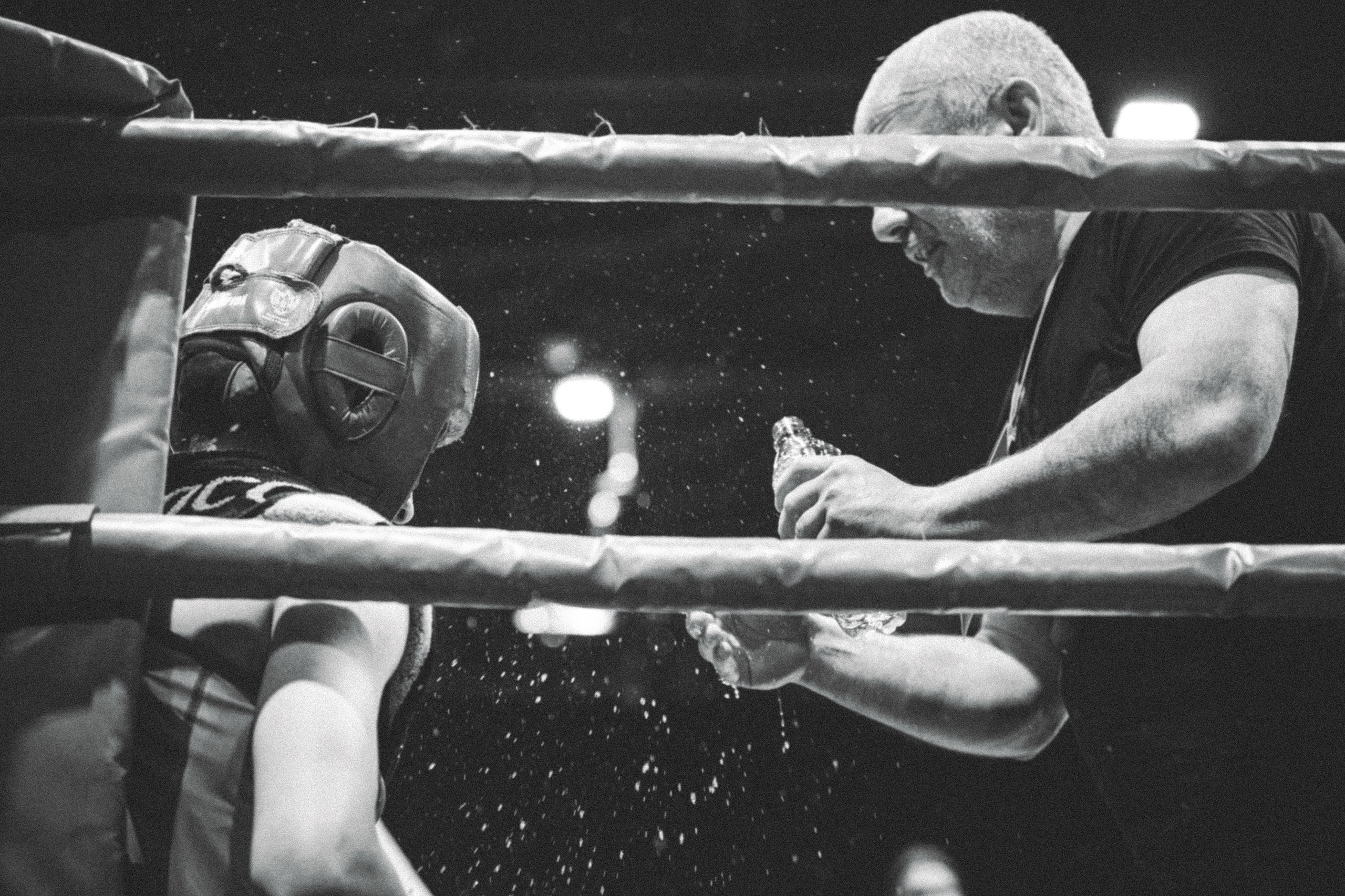 Бокс. Чемпионат России среди юниоров. Владикавказ 2024. Zekons. Фото, видео, нейросети