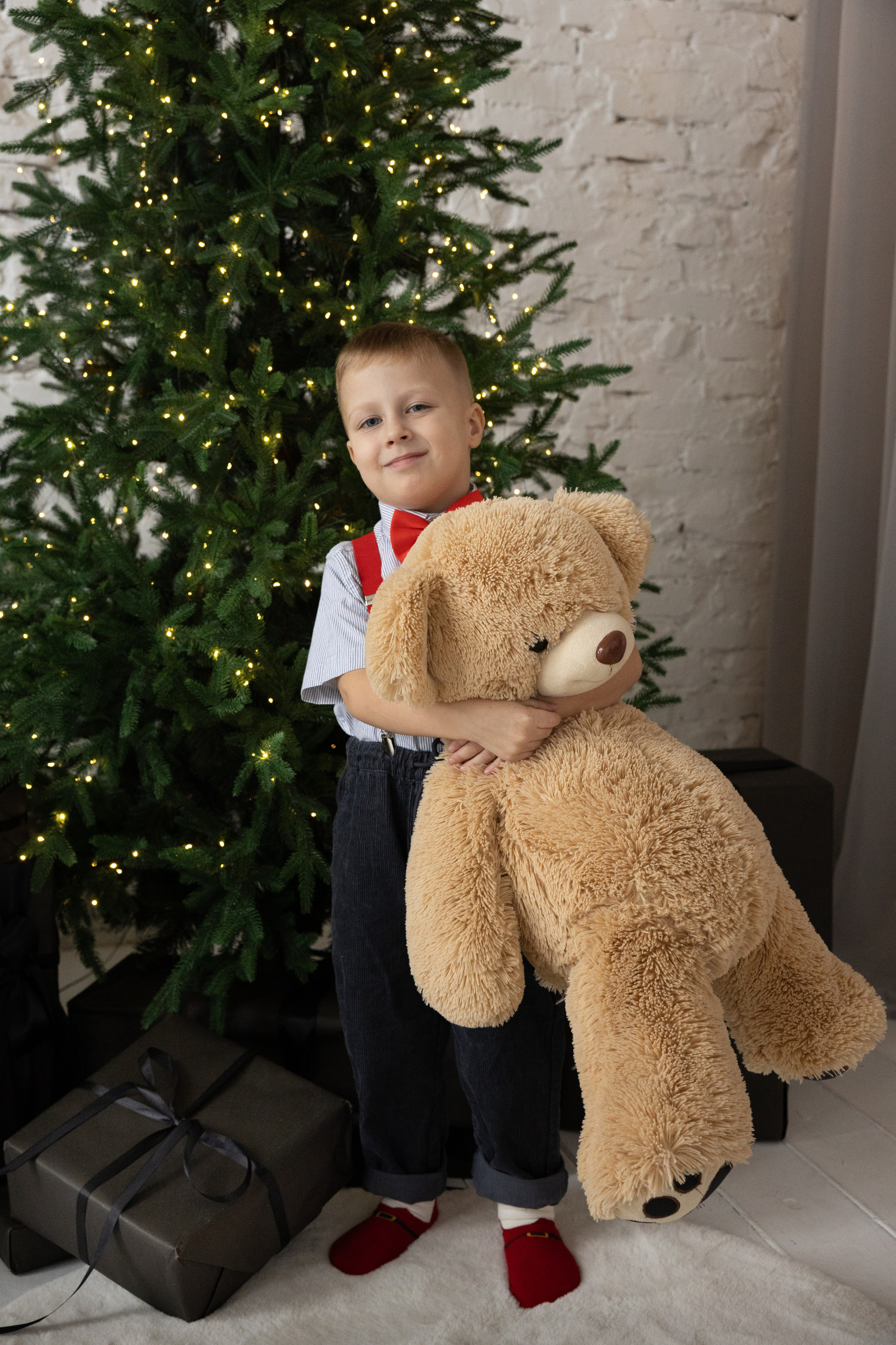 Новогодние. Фотограф Новосибирск, Академгородок, Бердск — Айна