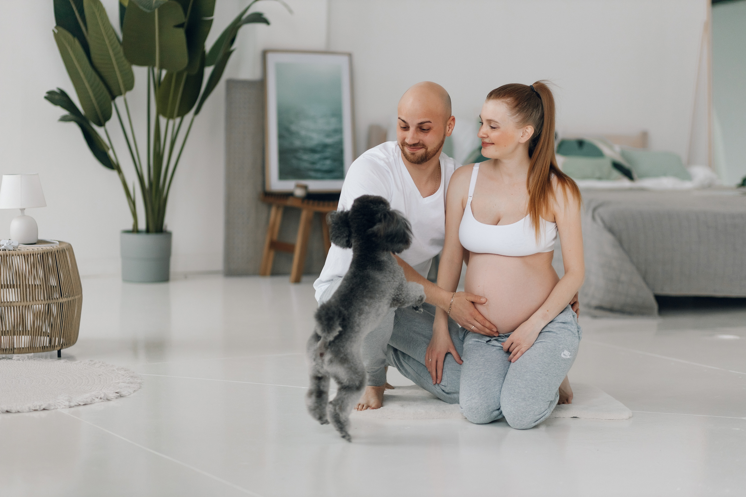 Беременность. Свадебный и репортажный фотограф Ольга Шевелёва