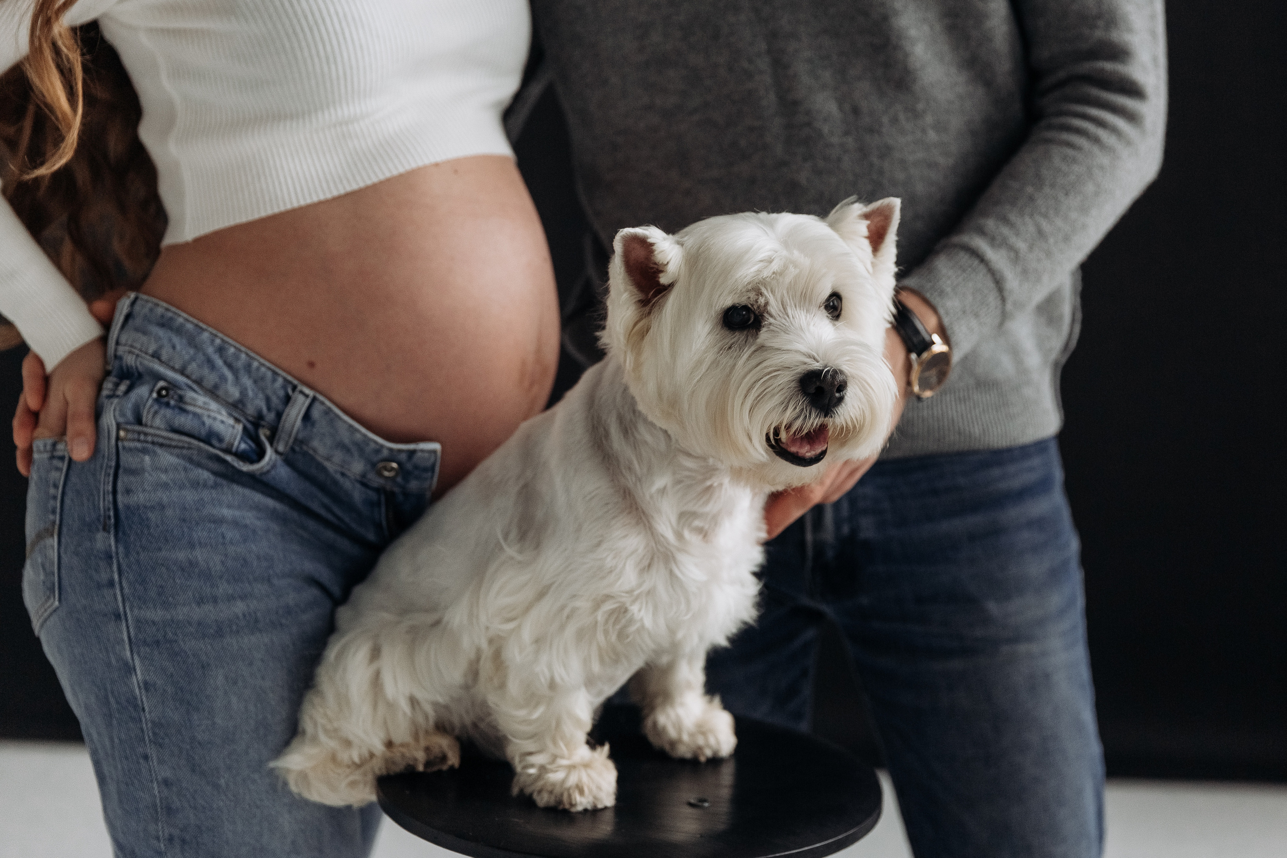 Беременность. Свадебный и репортажный фотограф Ольга Шевелёва