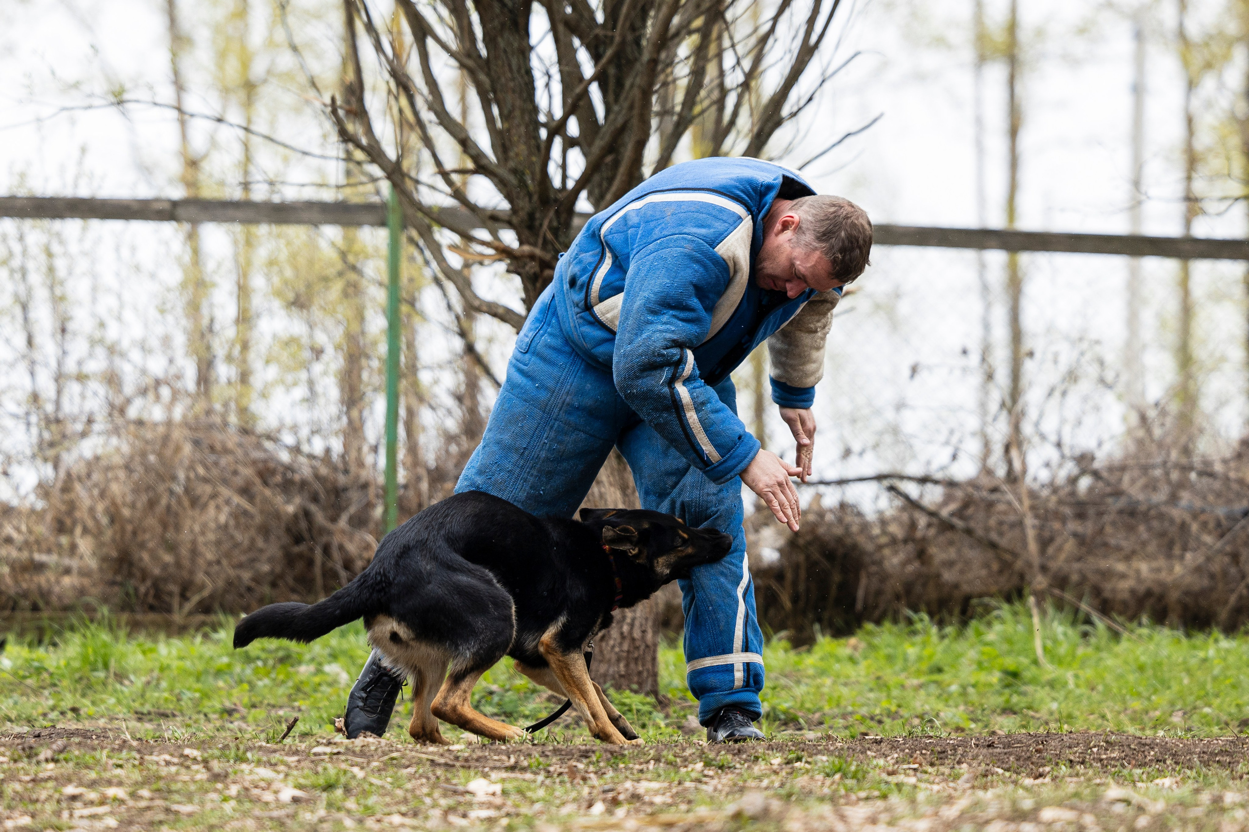 Квалификационные состязания по мондьорингу г. Вологда 11.05.24. Фотограф-анималист Анна Маринич