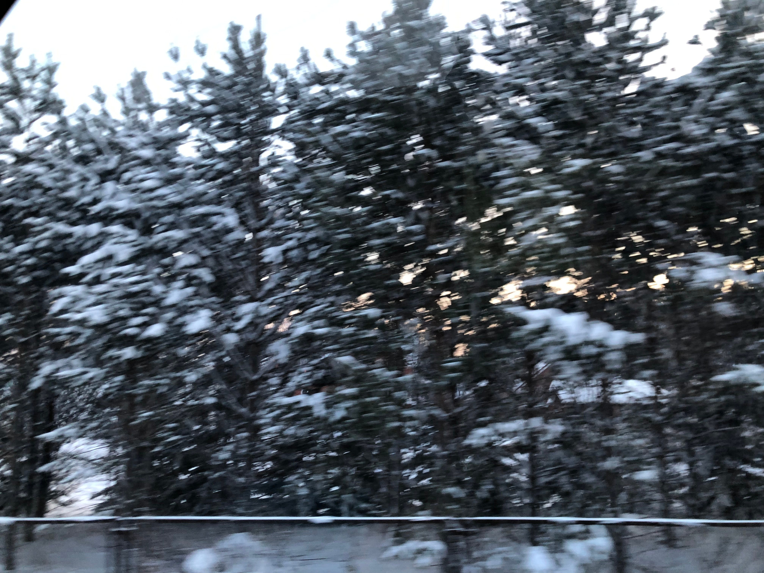 Декабрь. Семейный, Свадебный фотограф СПБ Питер— Романова Екатерина