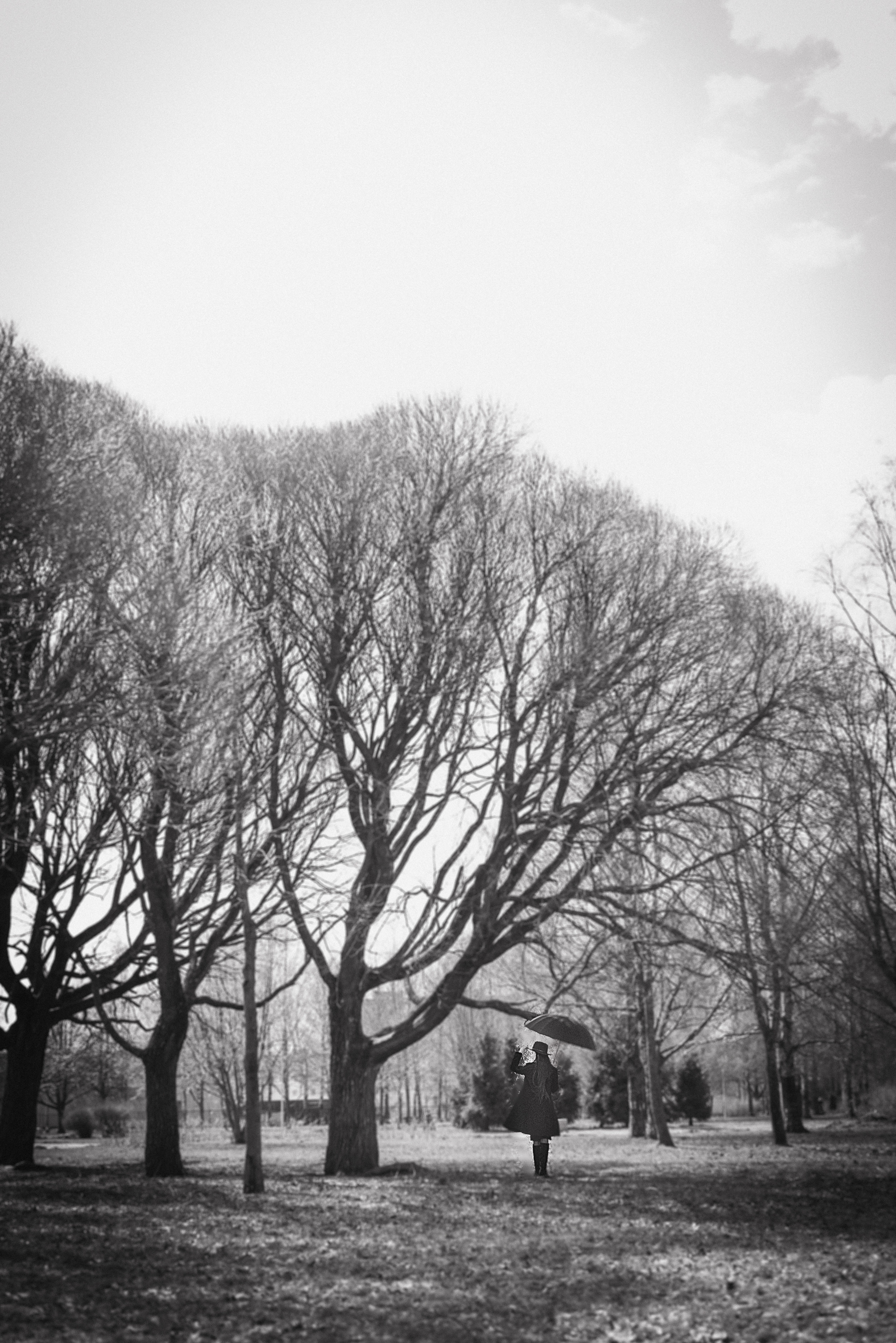 Фотосессия девушки в черно-белом исполнении на прогулке в парке. КОНТЕНТ |БРЕНД фотограф Санкт-Петербург — Жанна Олтаржевская
