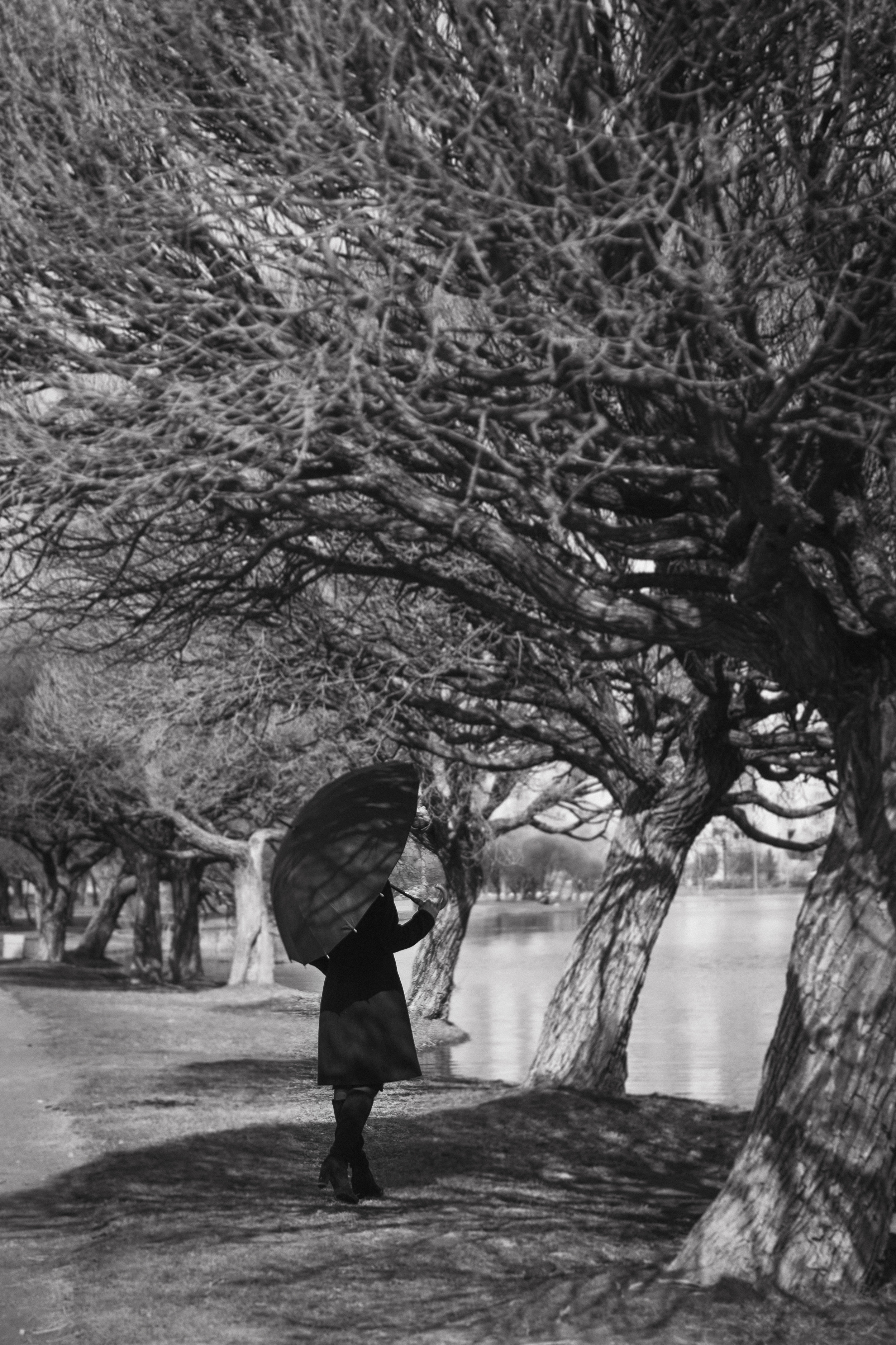 Фотосессия девушки в черно-белом исполнении на прогулке в парке. КОНТЕНТ |БРЕНД фотограф Санкт-Петербург — Жанна Олтаржевская