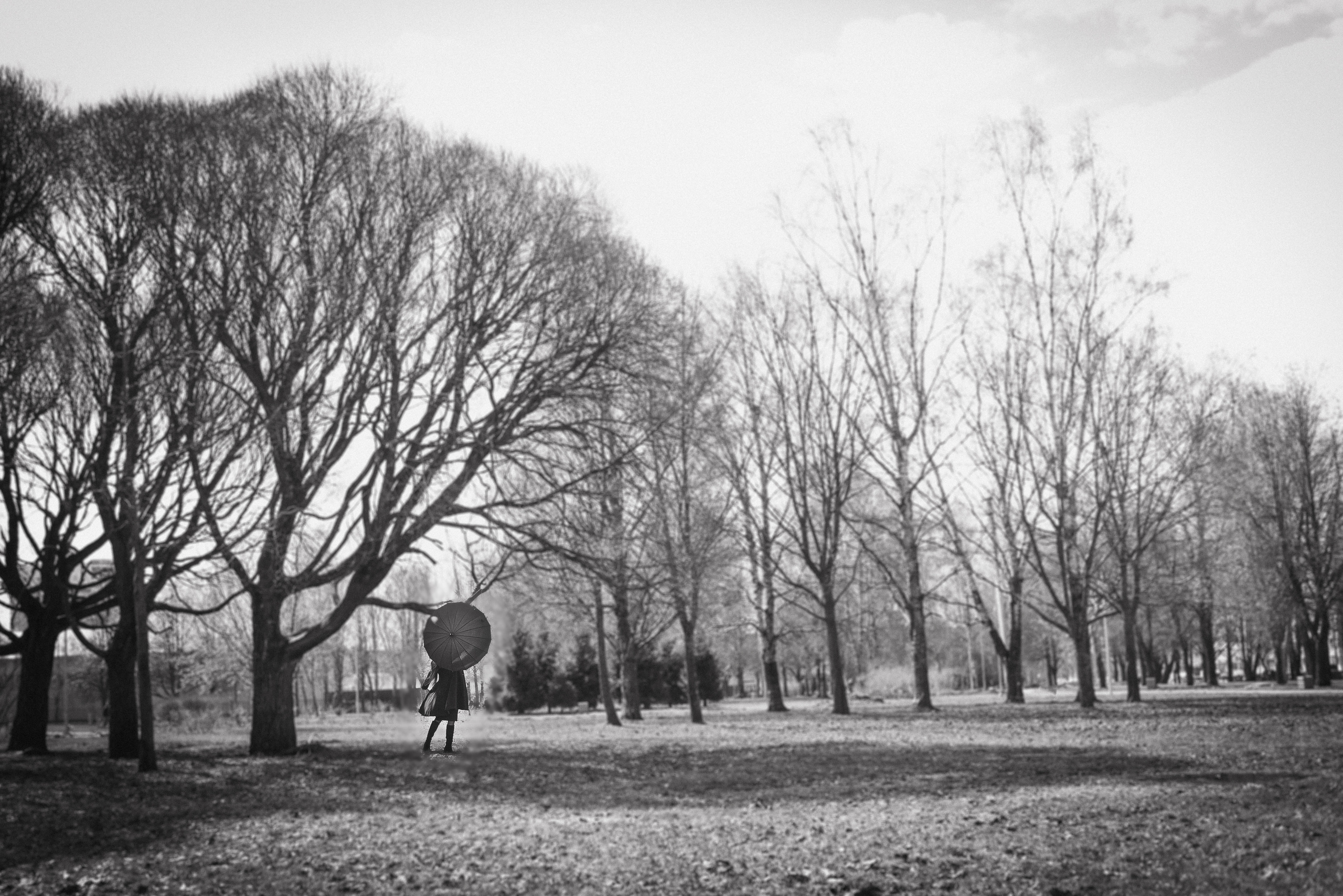 Фотосессия девушки в черно-белом исполнении на прогулке в парке. КОНТЕНТ |БРЕНД фотограф Санкт-Петербург — Жанна Олтаржевская
