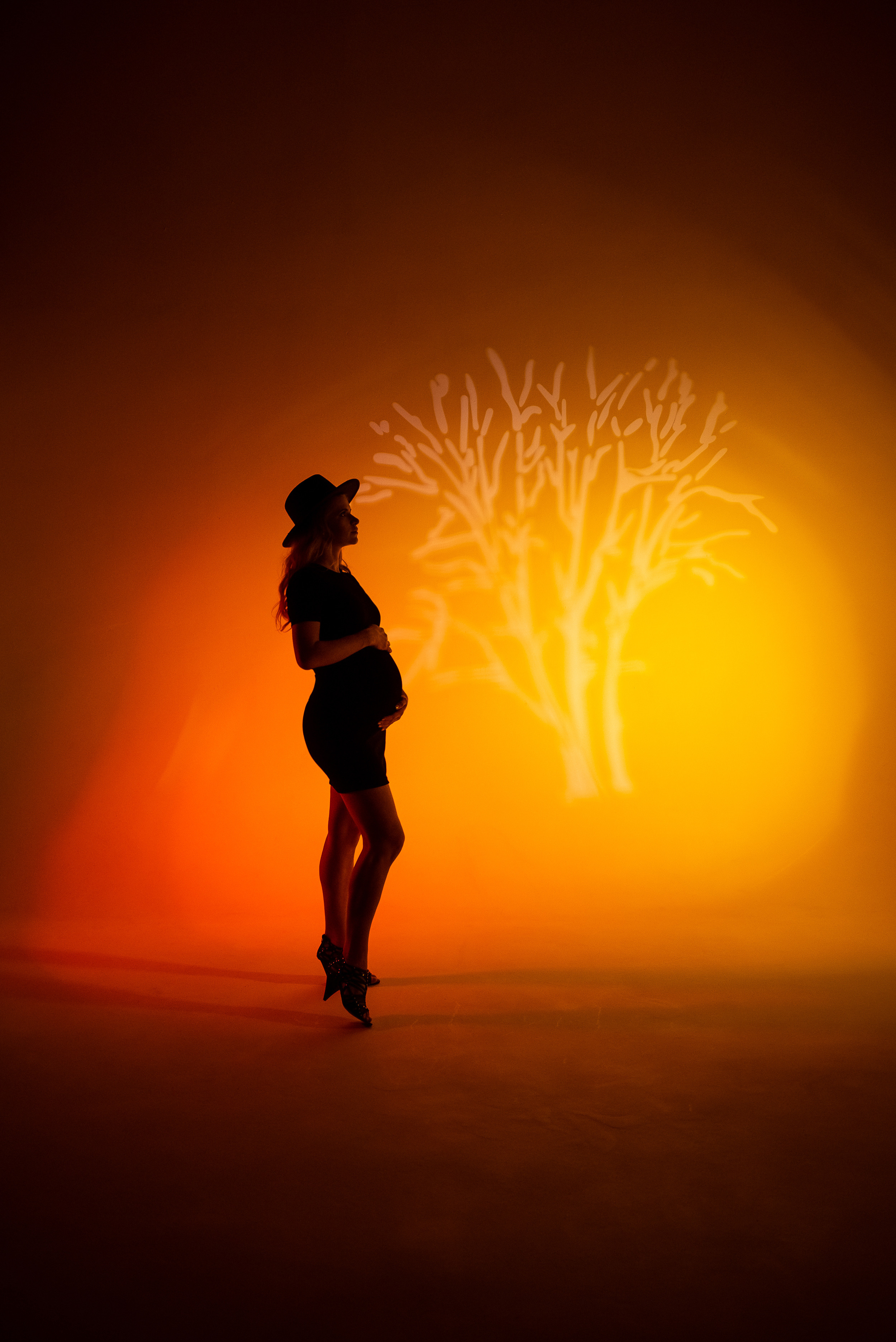 Силуэт беременной девушки.