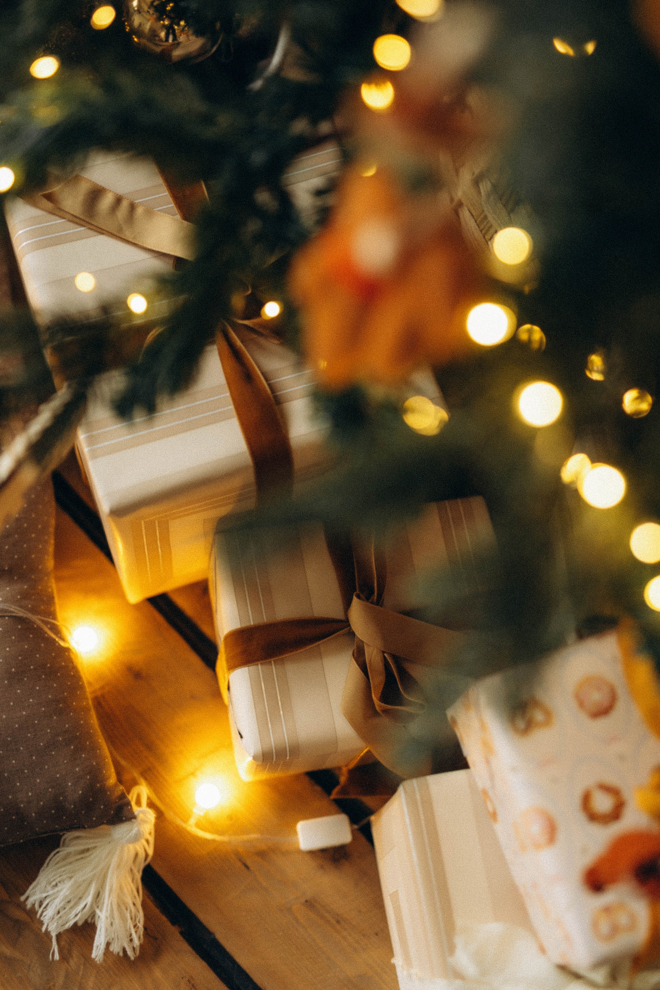 Семейная Новогодняя. Katerina Schastlivaya