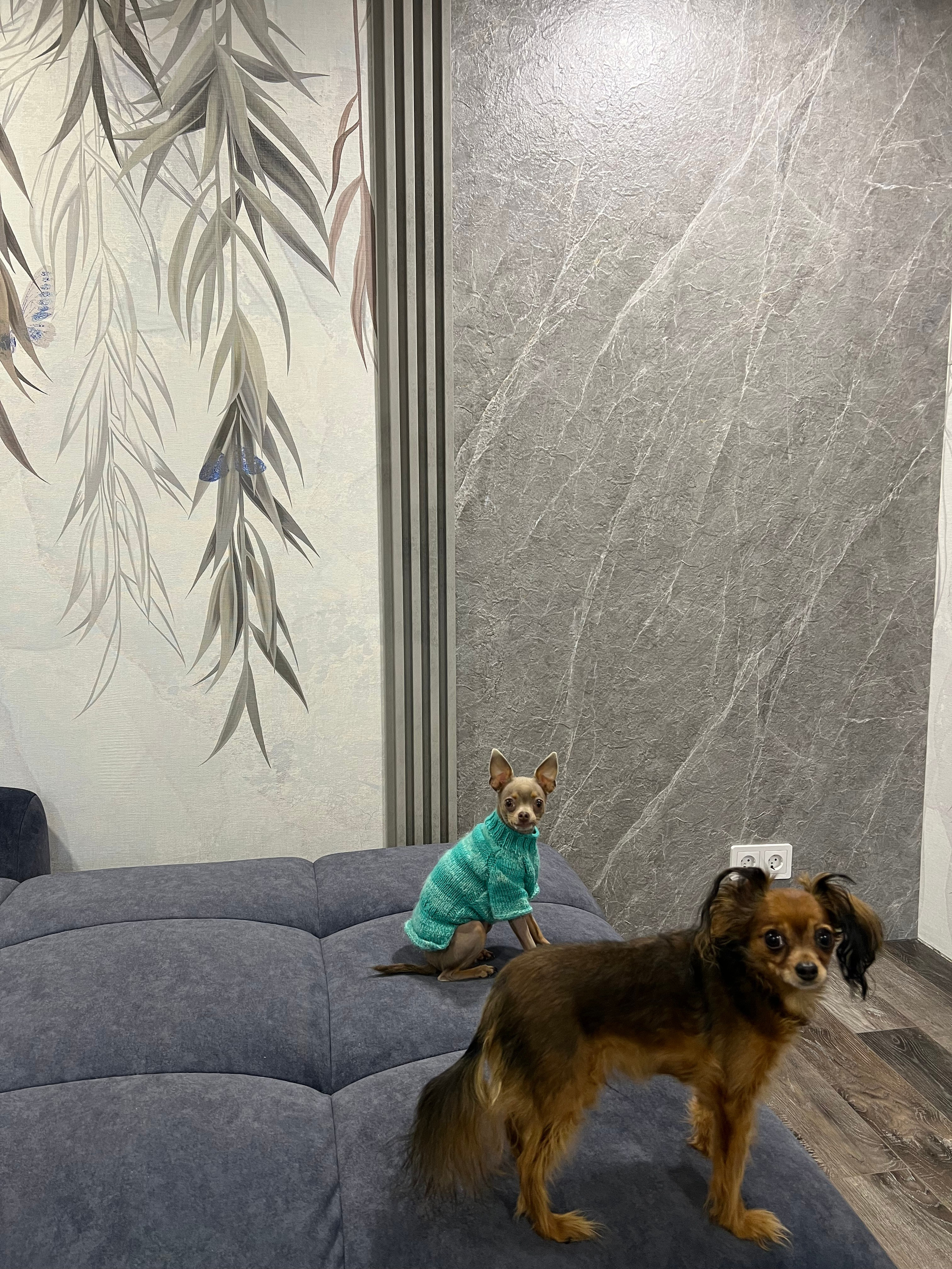 Фото в интерьере. Продажа декоративных панелей и аксессуаров для их монтажа на всей территории РФ