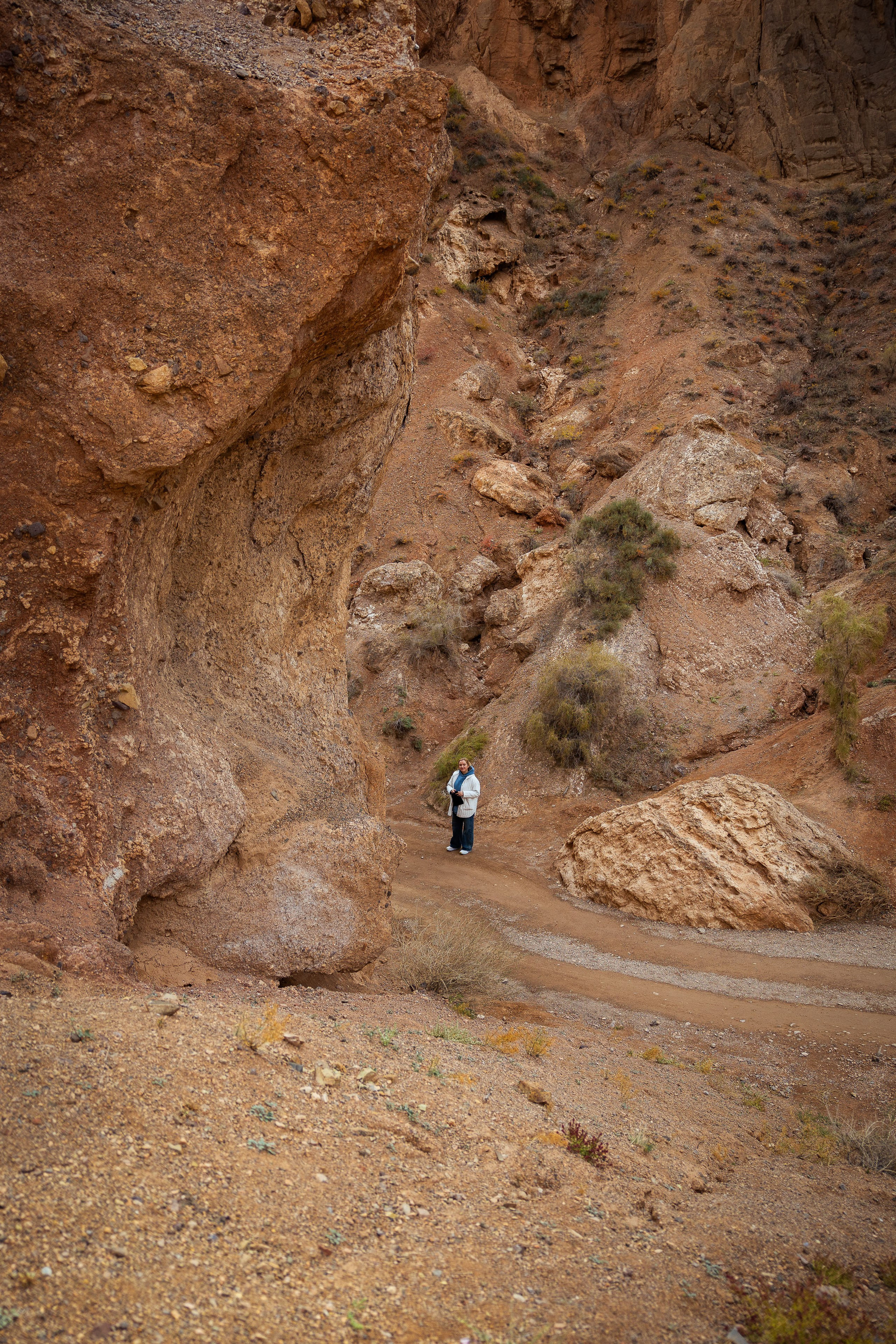 Казахстан (осень 2024). Фотограф Виноградов Константин