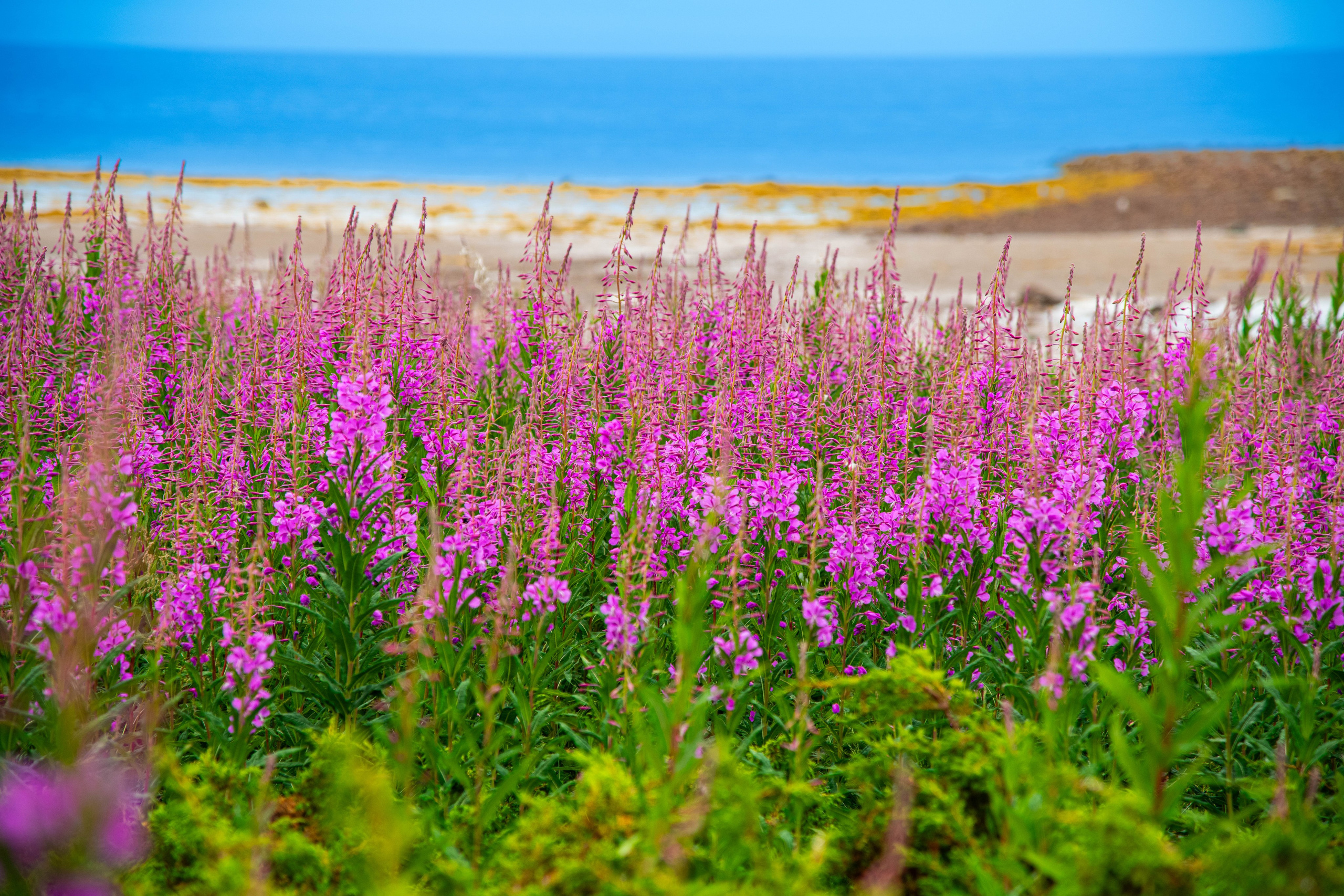 Кольский полуостров. Фотографирую для себя, своей семьи и друзей!