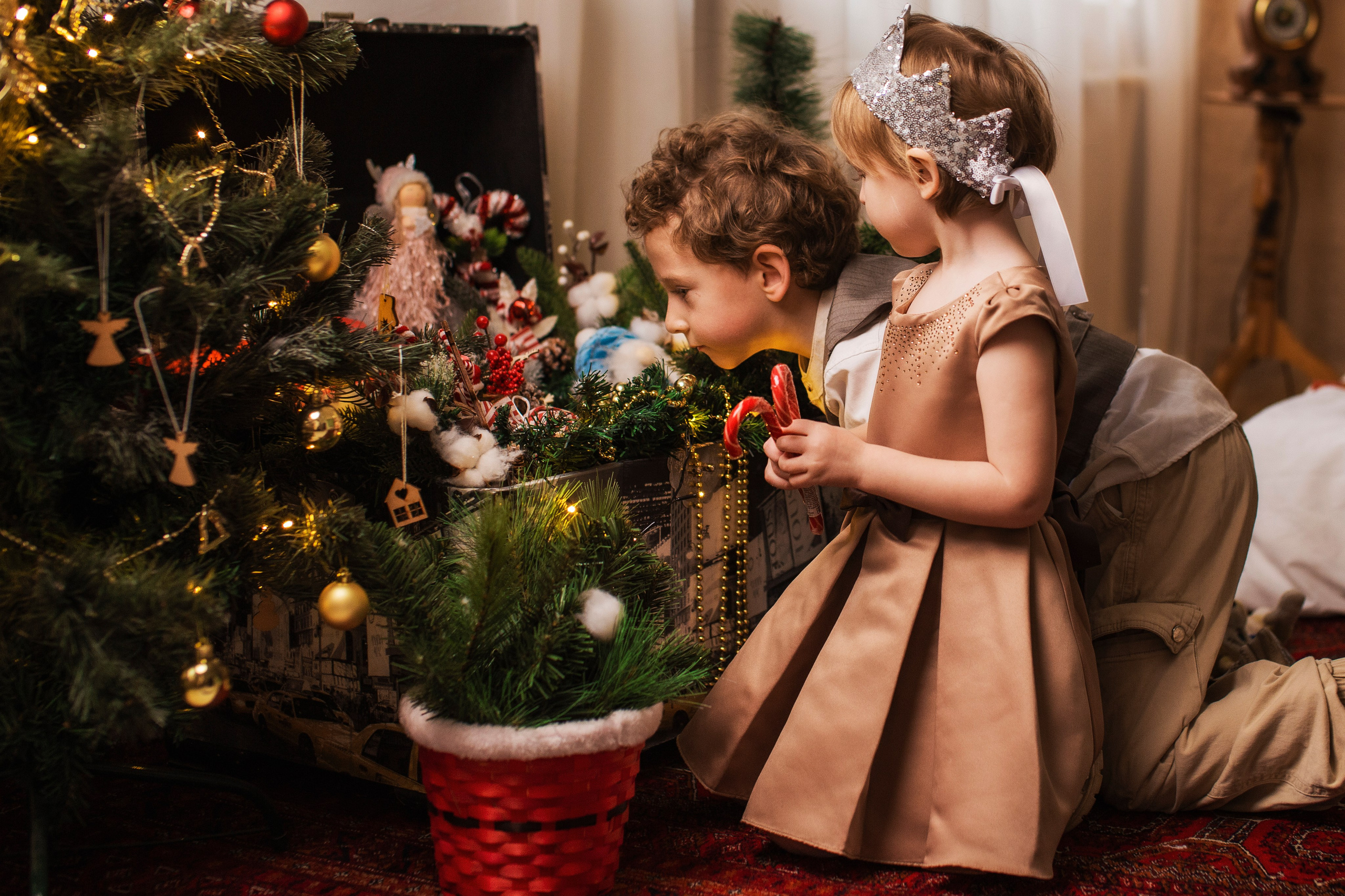 Фотостудия Неформат. Семейный фотограф в Саратове