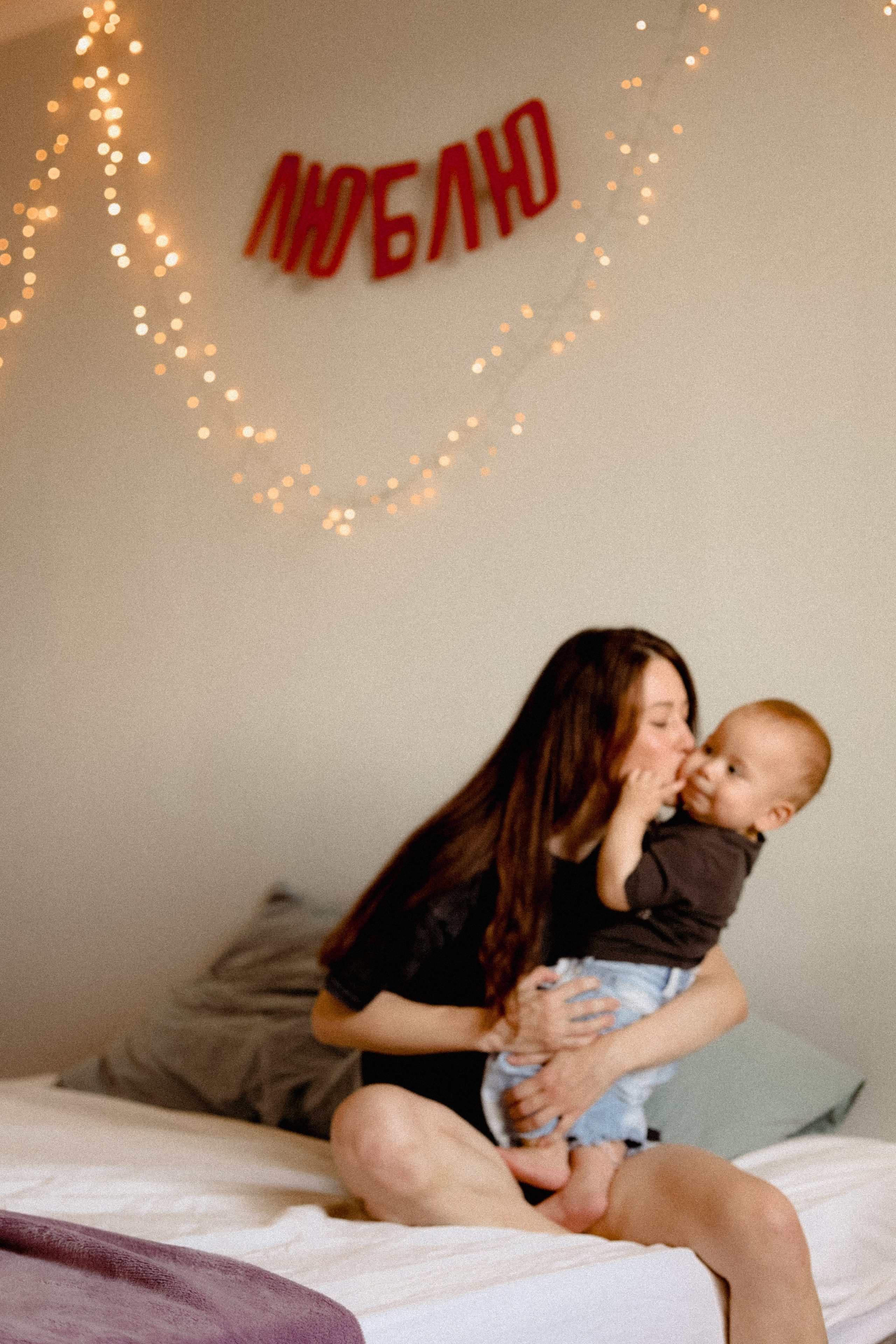 Домашняя история. Meryfotoidea