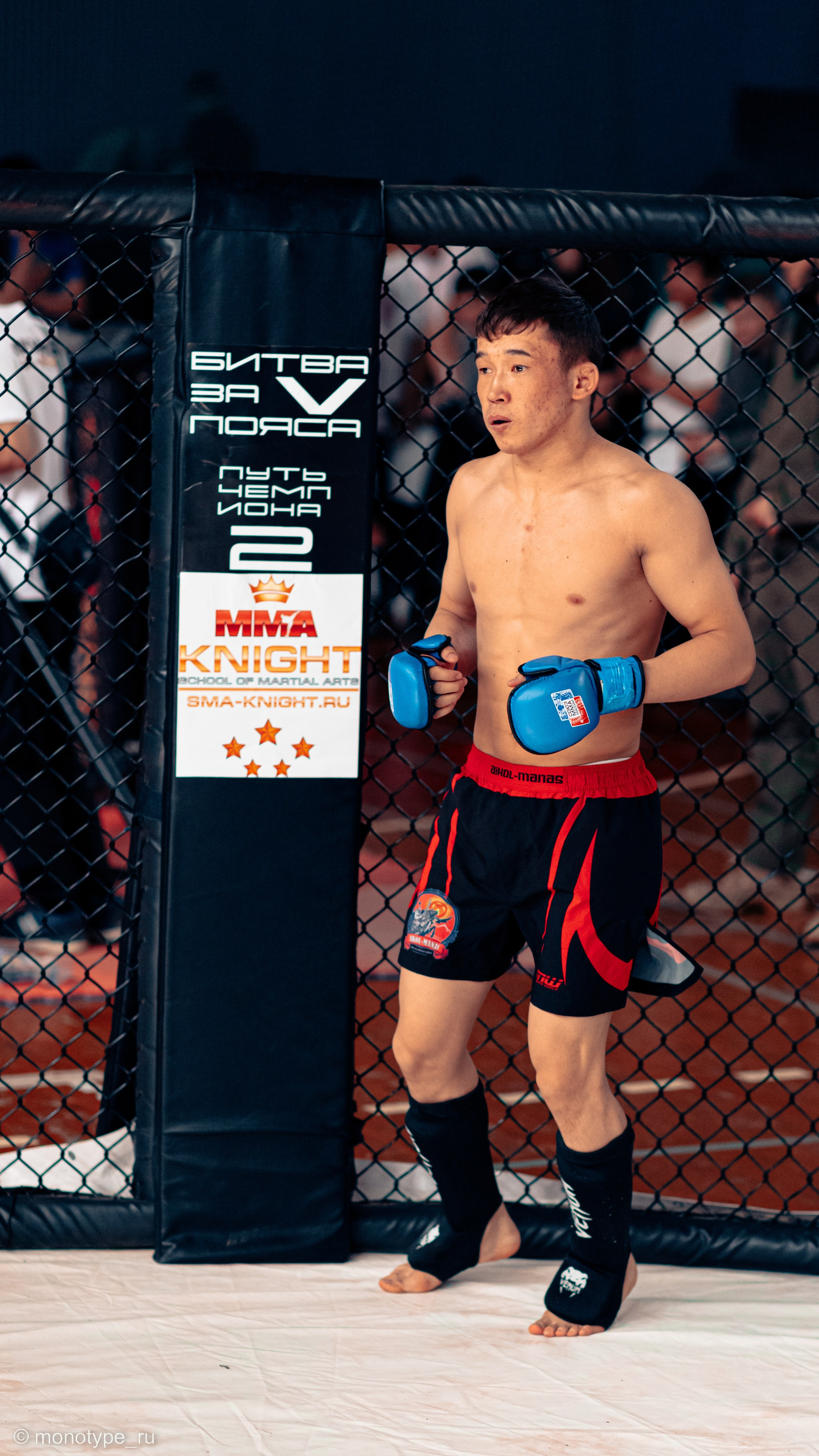 MMA. Бойцовский турнир