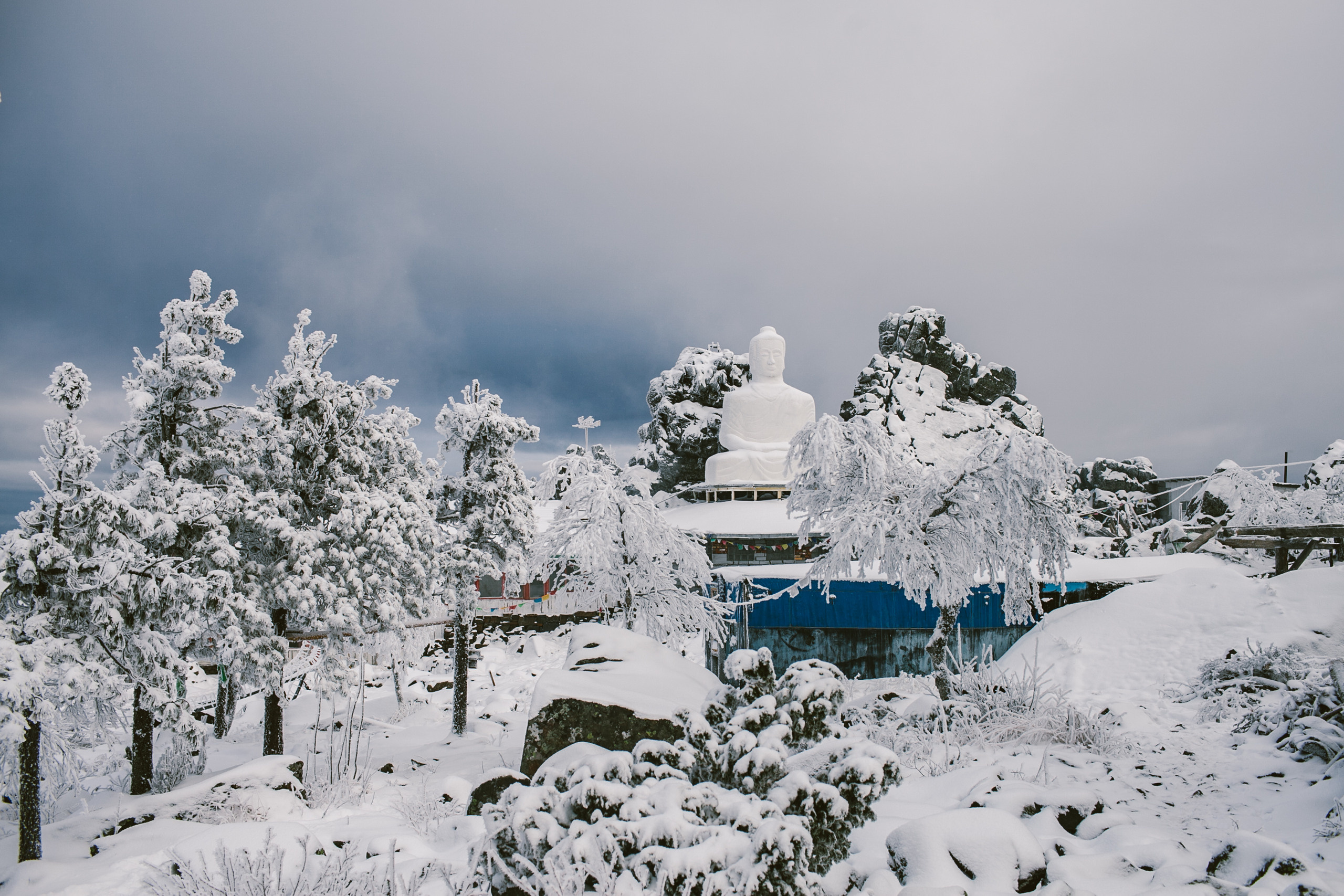 Место практики и реализации. Фотограф Аня Марченкова
