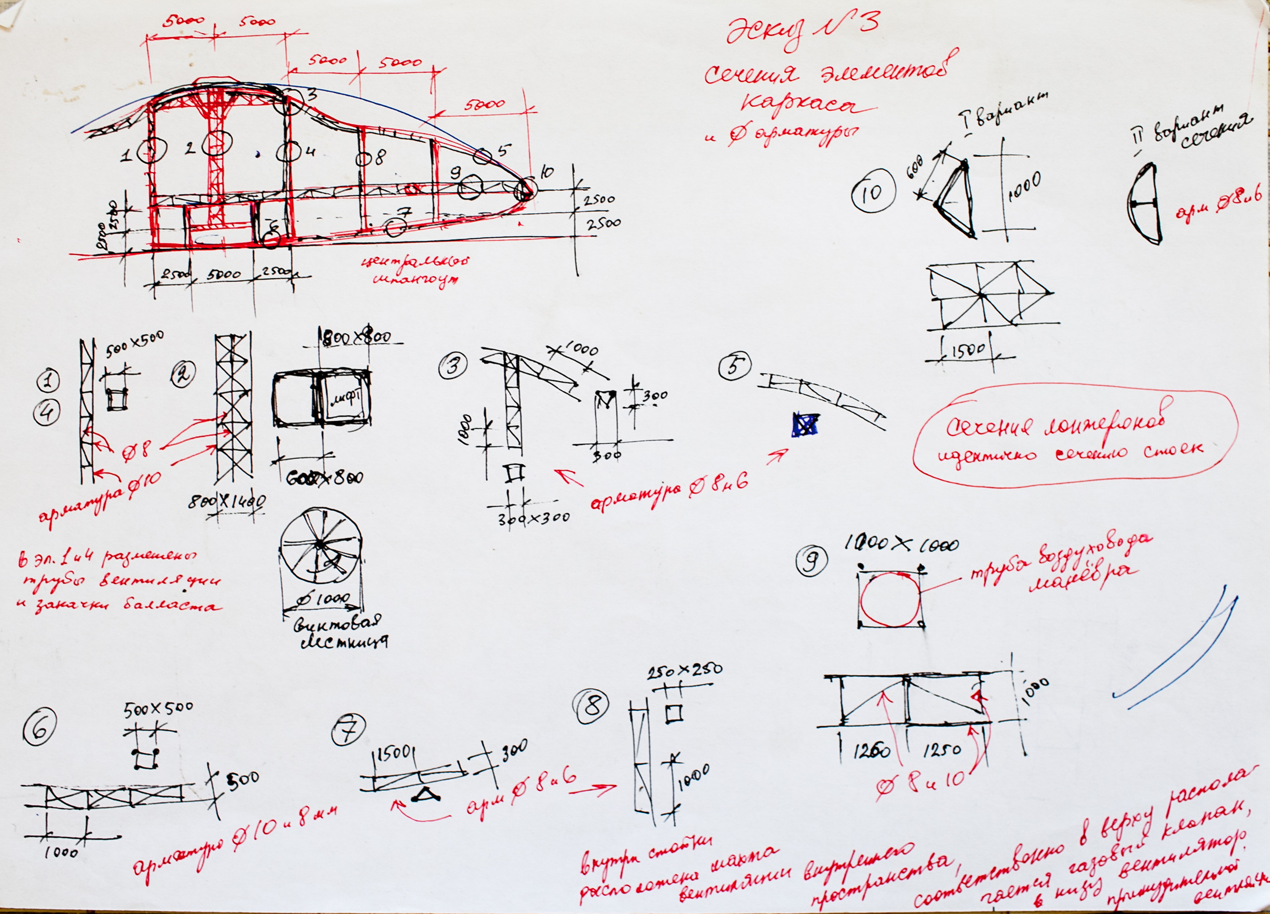 Место практики и реализации. Фотограф Аня Марченкова