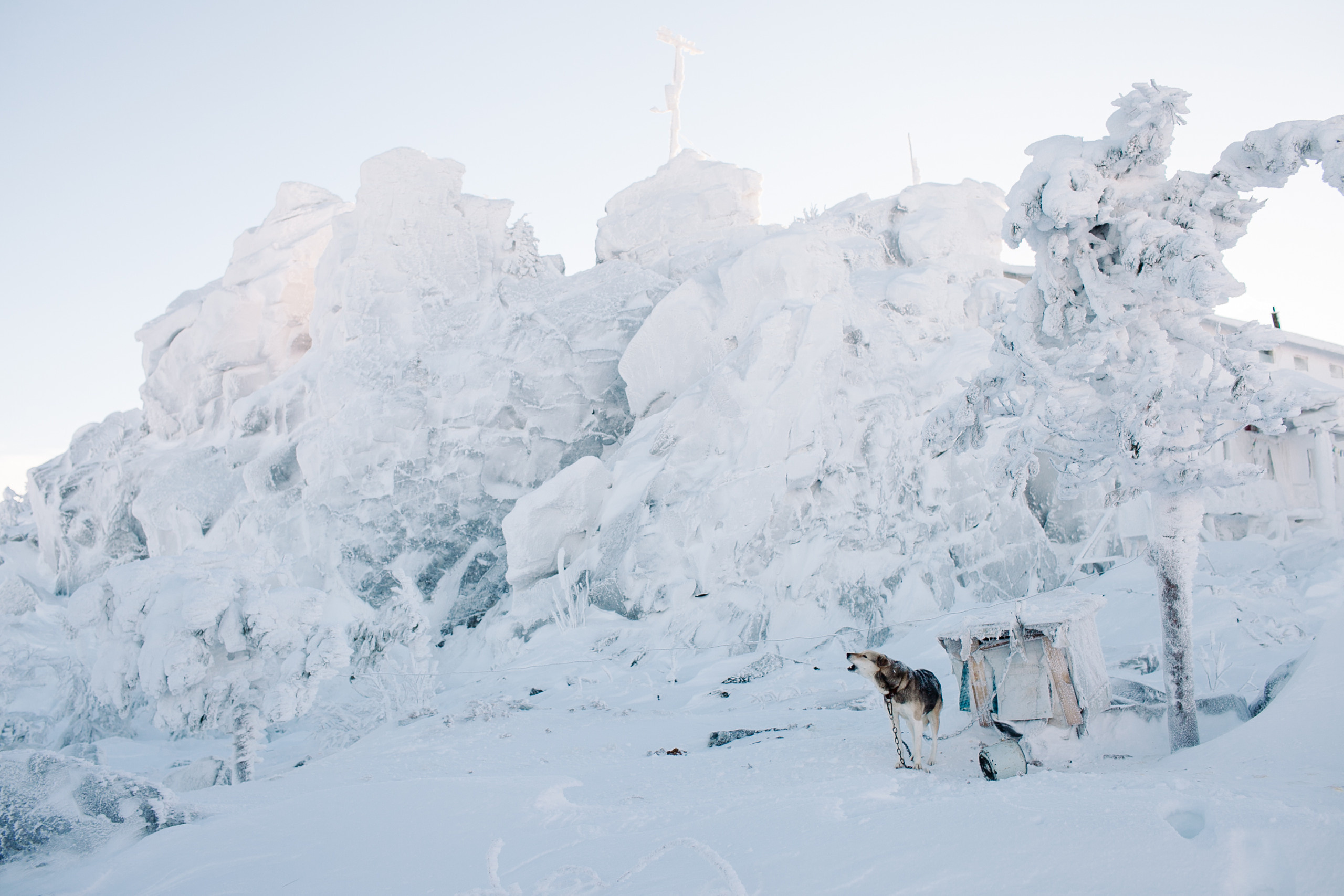 Место практики и реализации. Фотограф Аня Марченкова