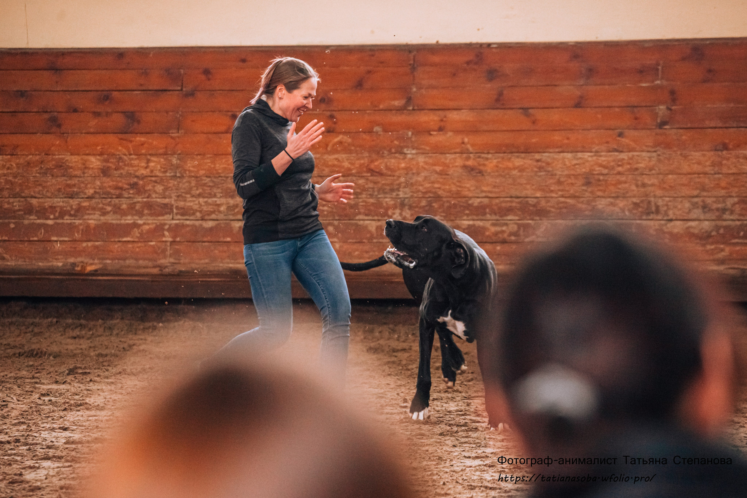 Соревнования по Аджилити 25.02.2024. Фотограф-анималист Татьяна Степанова