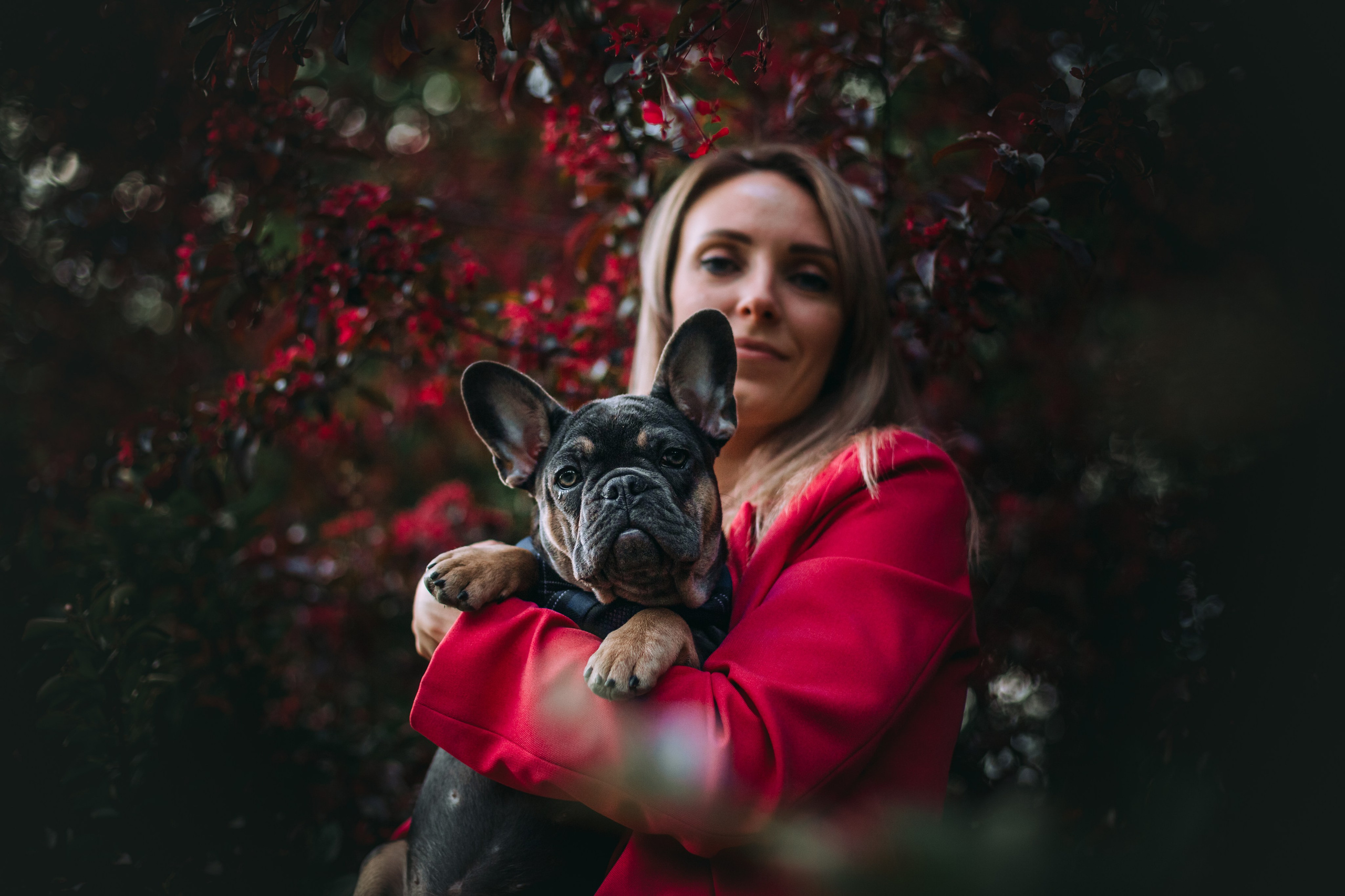 Даша и Мишель. Фотограф-анималист Татьяна Степанова