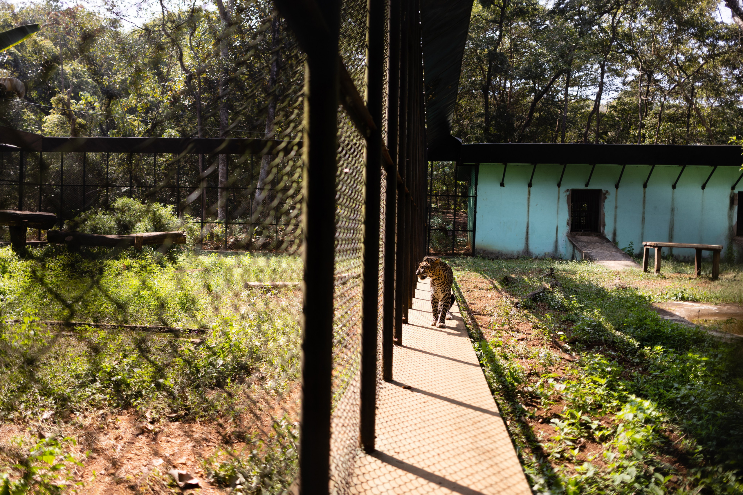 ГОА 2024. Руслан Плахтеев