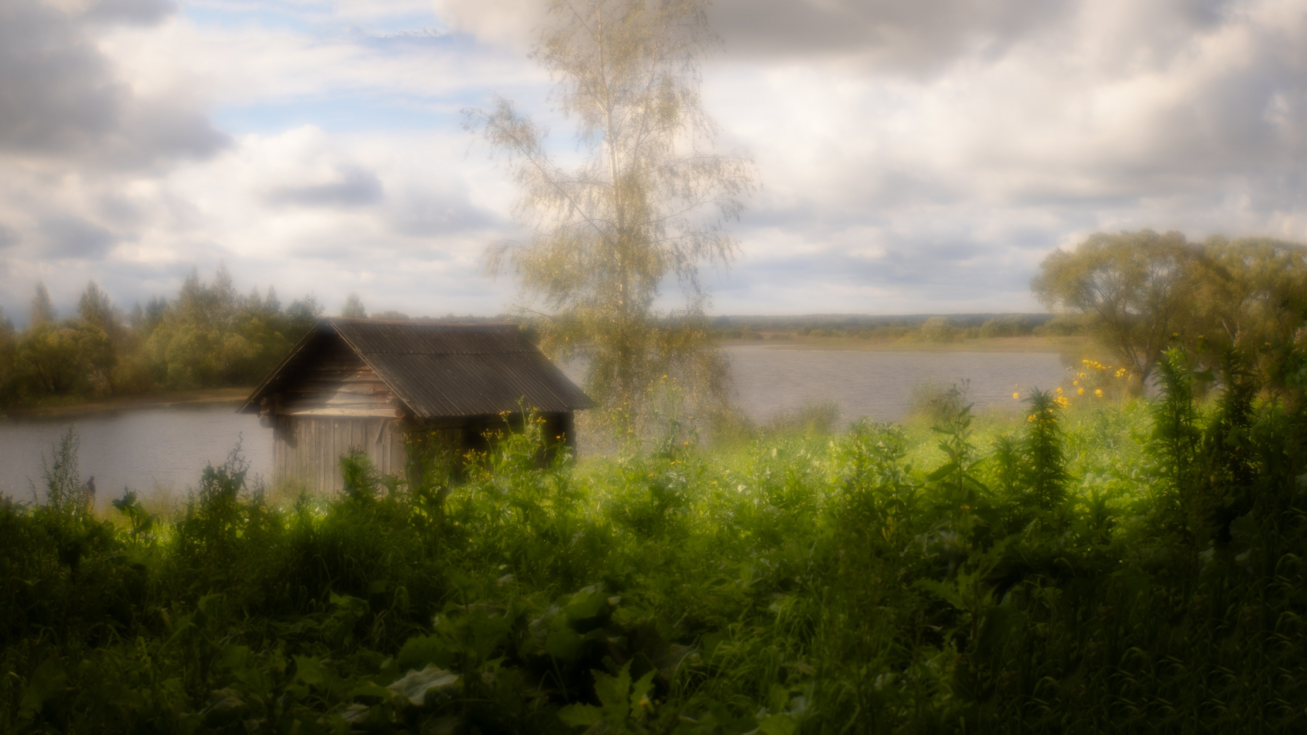 Деревенский пейзаж. Владимир Петухов — фотограф в г. Кинешма. Оператор FPV