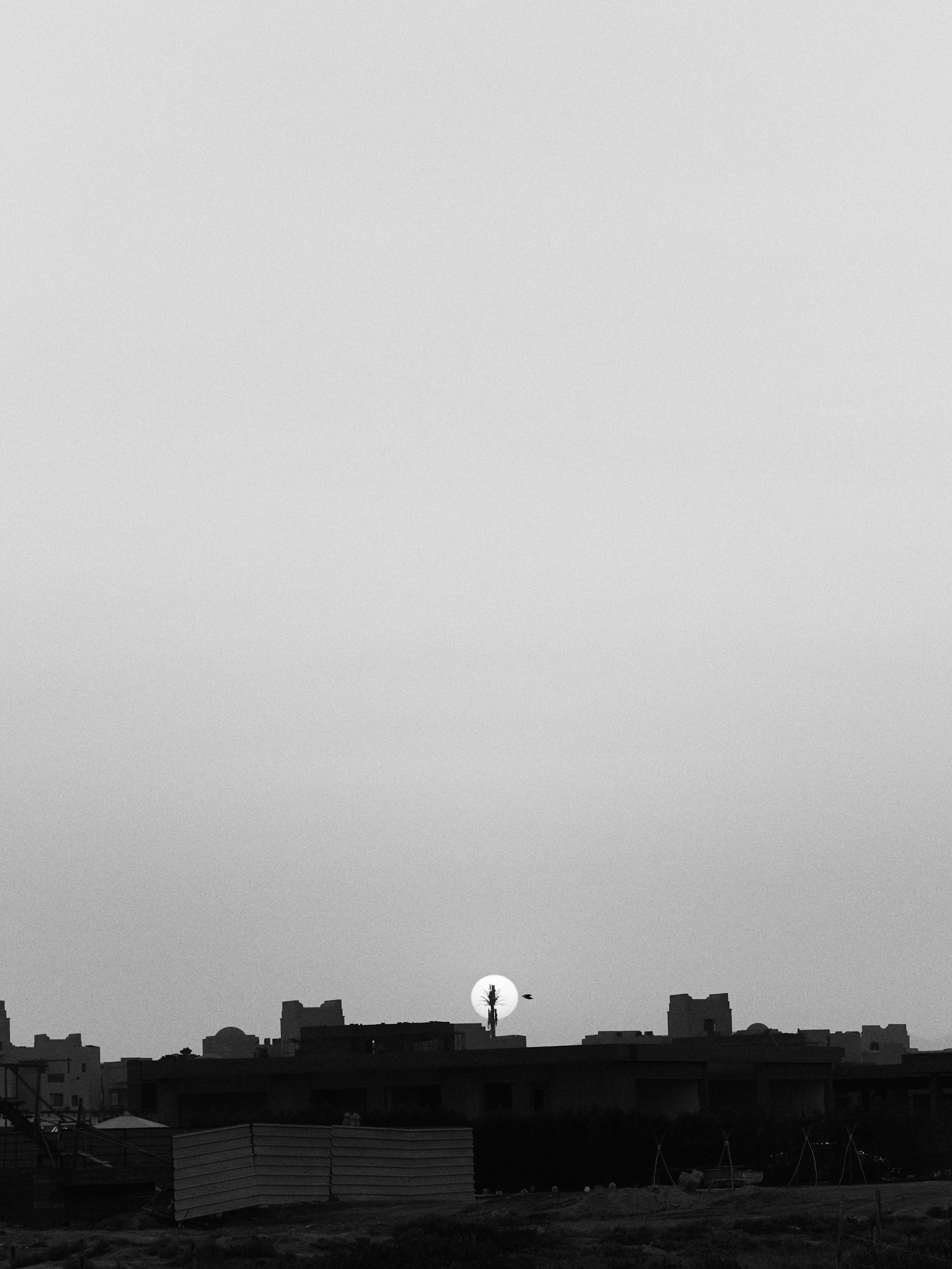 B&W. Jorgis — фотограф в Хургаде / обучение фотографии