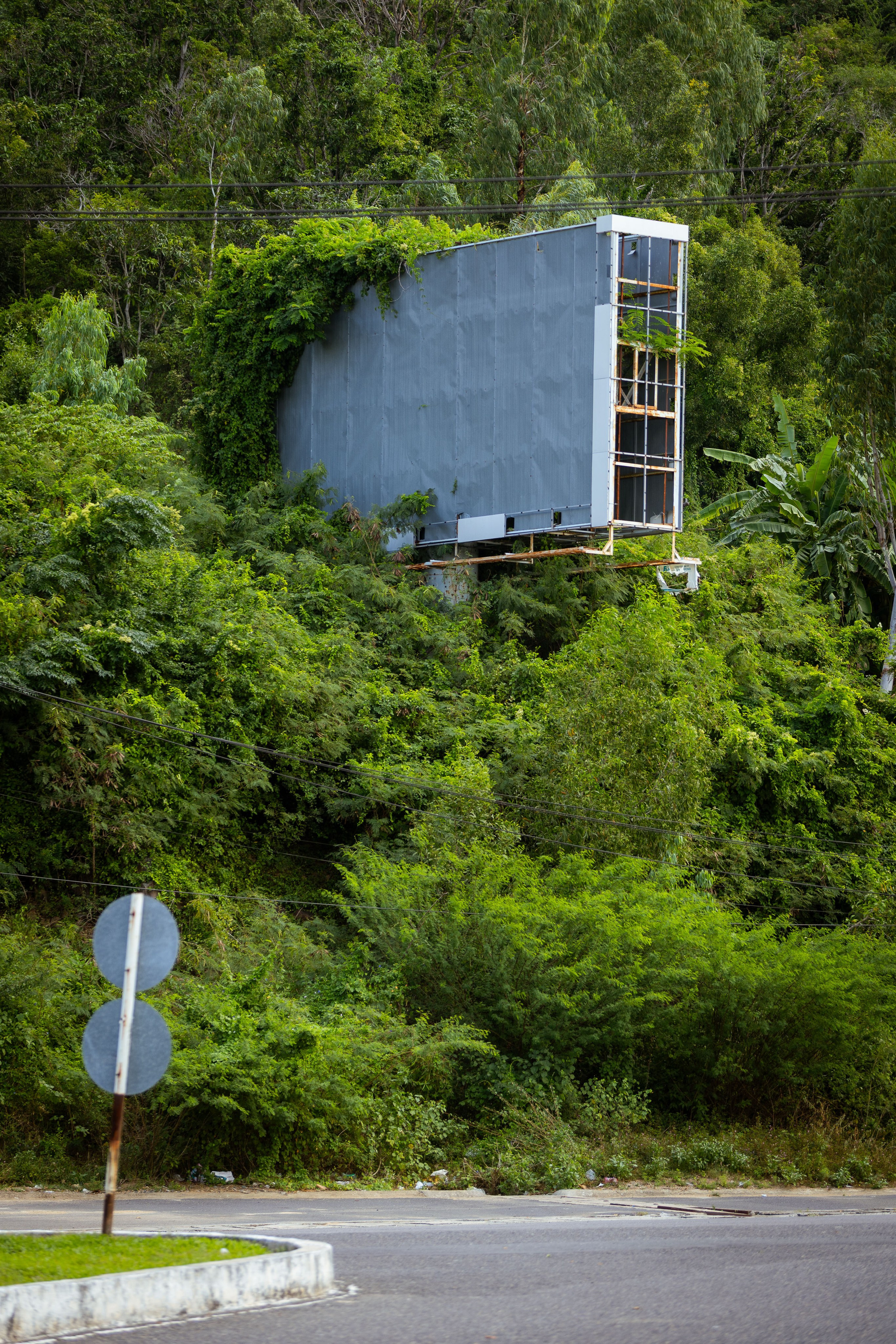 Вьетнам (зима 2025-2026). Фотограф Виноградов Константин